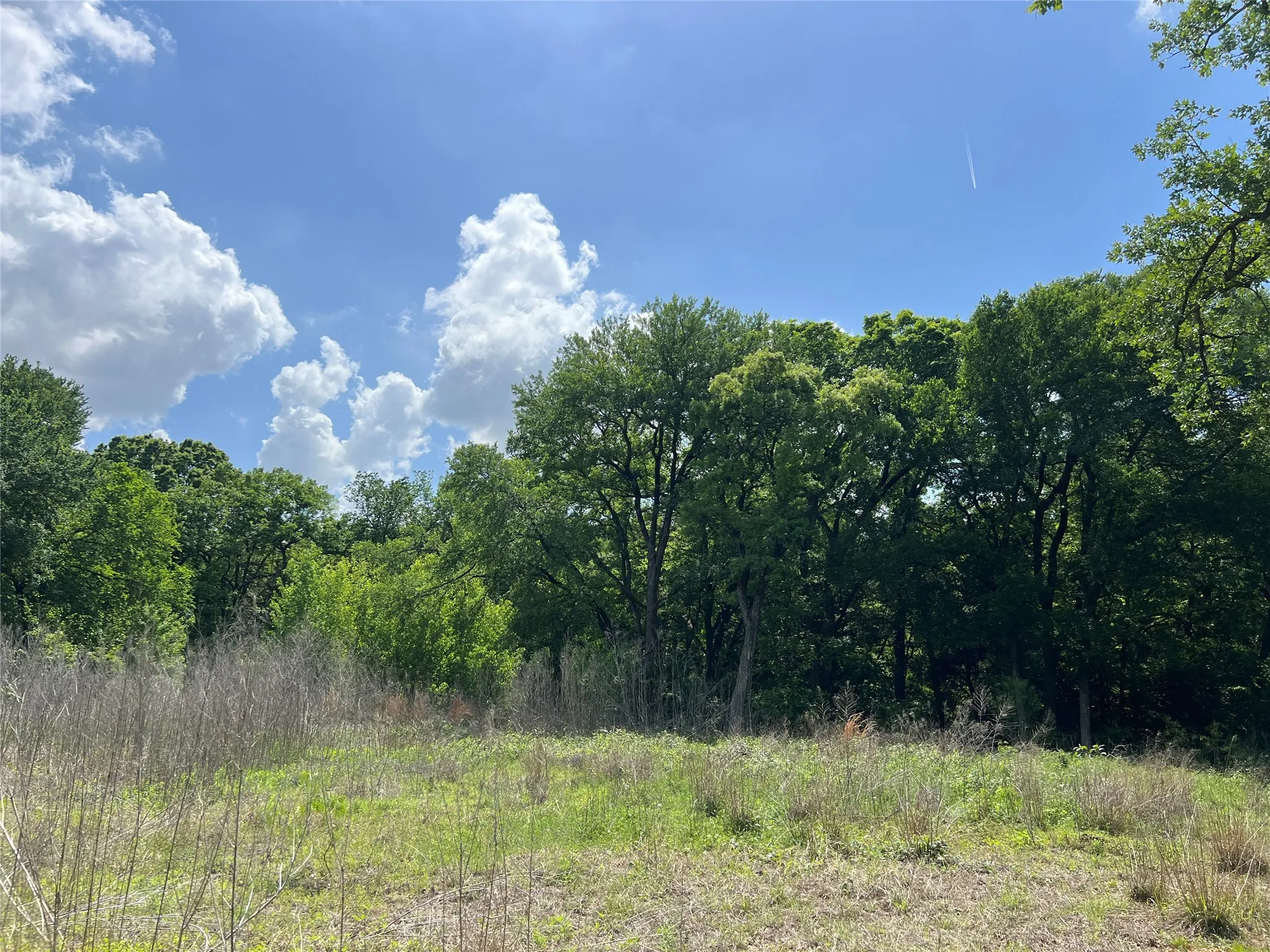 Unimproved Land For Sale in Johnson County , 3024 Ida Lane, Alvarado, Texas 76009, 0, 0, Garage spaces, 0 Sqft, built in 0, mls#21233989, Real Estate Agent in Alvarado, Homes For Sale in Johnson county, Homes For Sale in Alvarado, Realtor in Alvarado Texas, Real Estate Brokerage Independent Realty Texas, Luminita Cordes Realtor