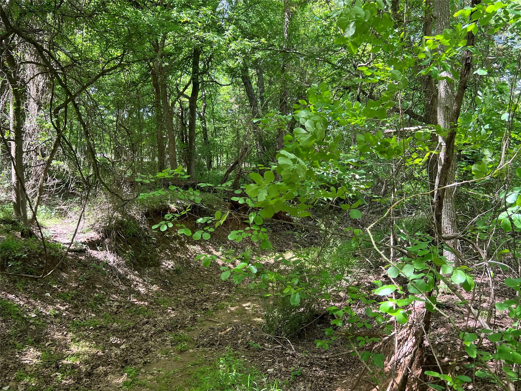 Unimproved Land For Sale in Johnson County , 3024 Ida Lane, Alvarado, Texas 76009, 0, 0, Garage spaces, 0 Sqft, built in 0, mls#21233989, Real Estate Agent in Alvarado, Homes For Sale in Johnson county, Homes For Sale in Alvarado, Realtor in Alvarado Texas, Real Estate Brokerage Independent Realty Texas, Luminita Cordes Realtor