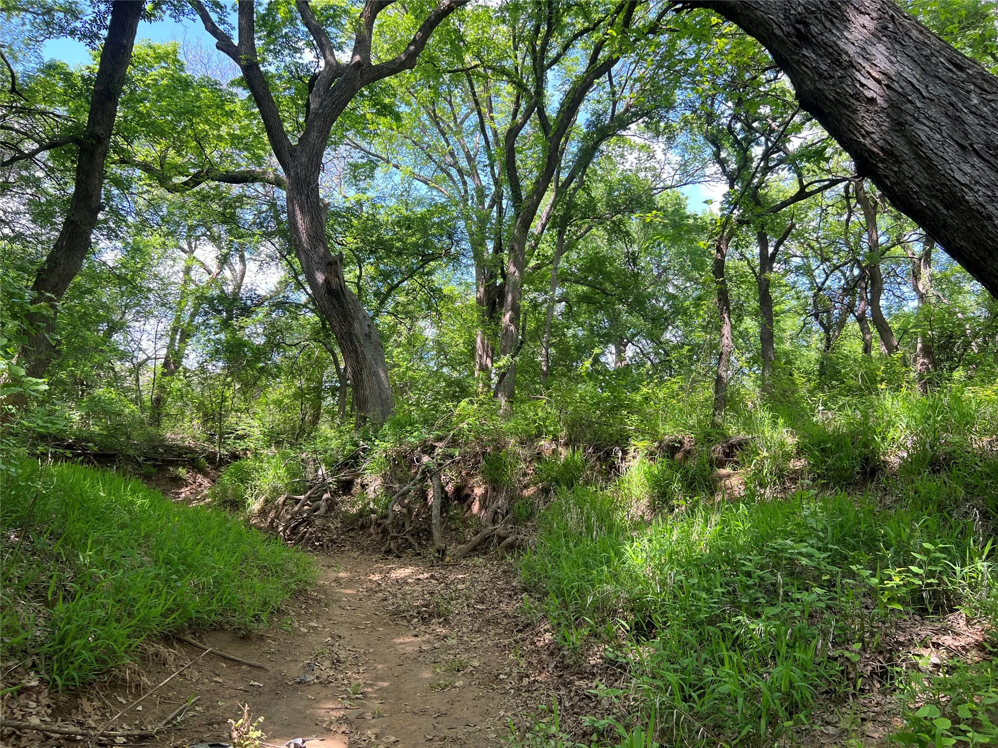 Unimproved Land For Sale in Johnson County , 3024 Ida Lane, Alvarado, Texas 76009, 0, 0, Garage spaces, 0 Sqft, built in 0, mls#21233989, Real Estate Agent in Alvarado, Homes For Sale in Johnson county, Homes For Sale in Alvarado, Realtor in Alvarado Texas, Real Estate Brokerage Independent Realty Texas, Luminita Cordes Realtor