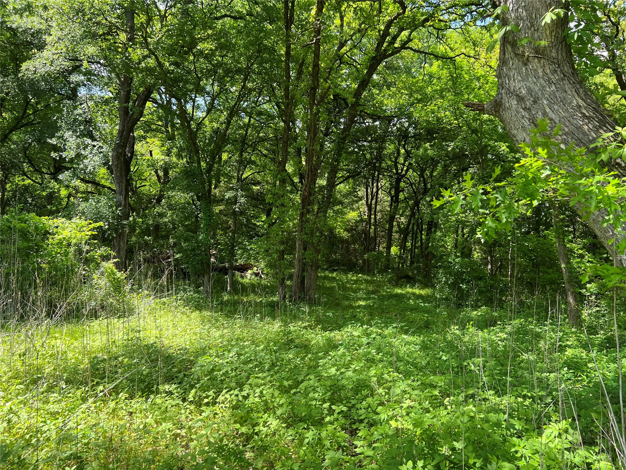 Unimproved Land For Sale in Johnson County , 3024 Ida Lane, Alvarado, Texas 76009, 0, 0, Garage spaces, 0 Sqft, built in 0, mls#21233989, Real Estate Agent in Alvarado, Homes For Sale in Johnson county, Homes For Sale in Alvarado, Realtor in Alvarado Texas, Real Estate Brokerage Independent Realty Texas, Luminita Cordes Realtor