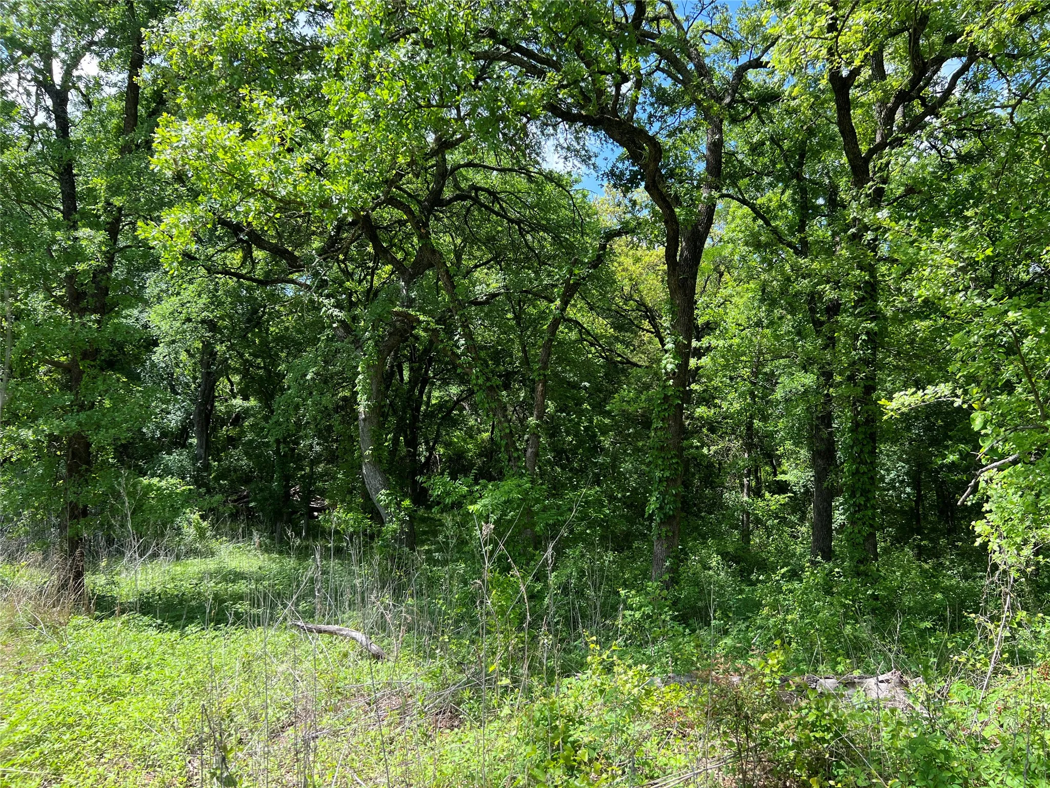 Unimproved Land For Sale in Johnson County , 3024 Ida Lane, Alvarado, Texas 76009, 0, 0, Garage spaces, 0 Sqft, built in 0, mls#21233989, Real Estate Agent in Alvarado, Homes For Sale in Johnson county, Homes For Sale in Alvarado, Realtor in Alvarado Texas, Real Estate Brokerage Independent Realty Texas, Luminita Cordes Realtor