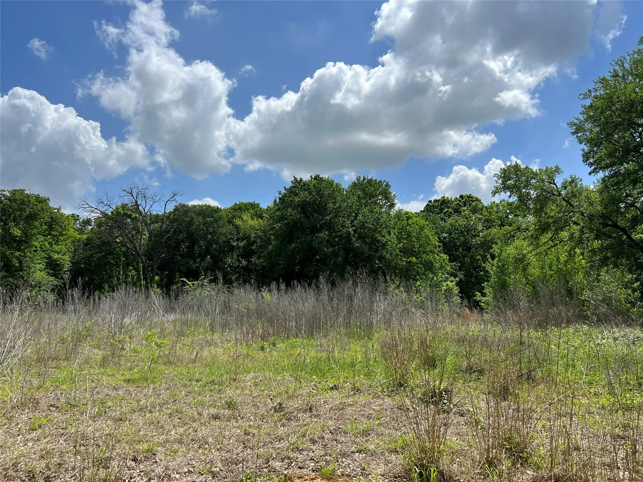 Unimproved Land For Sale in Johnson County , 3024 Ida Lane, Alvarado, Texas 76009, 0, 0, Garage spaces, 0 Sqft, built in 0, mls#21233989, Real Estate Agent in Alvarado, Homes For Sale in Johnson county, Homes For Sale in Alvarado, Realtor in Alvarado Texas, Real Estate Brokerage Independent Realty Texas, Luminita Cordes Realtor