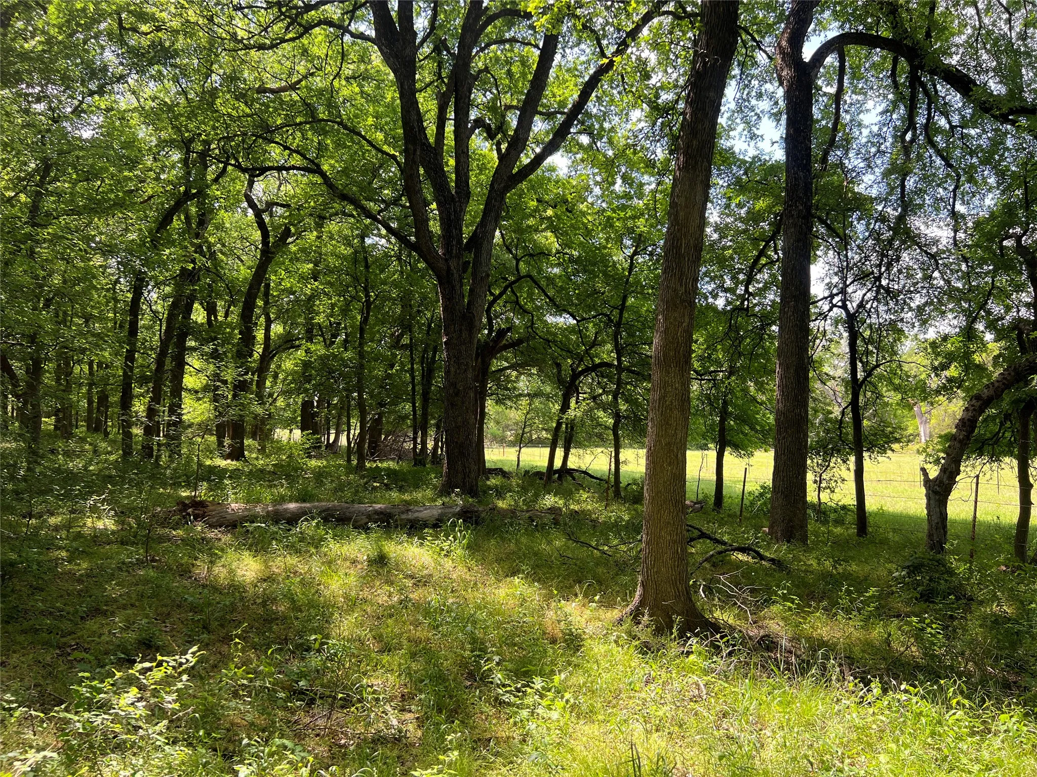 Unimproved Land For Sale in Johnson County , 3024 Ida Lane, Alvarado, Texas 76009, 0, 0, Garage spaces, 0 Sqft, built in 0, mls#21233989, Real Estate Agent in Alvarado, Homes For Sale in Johnson county, Homes For Sale in Alvarado, Realtor in Alvarado Texas, Real Estate Brokerage Independent Realty Texas, Luminita Cordes Realtor