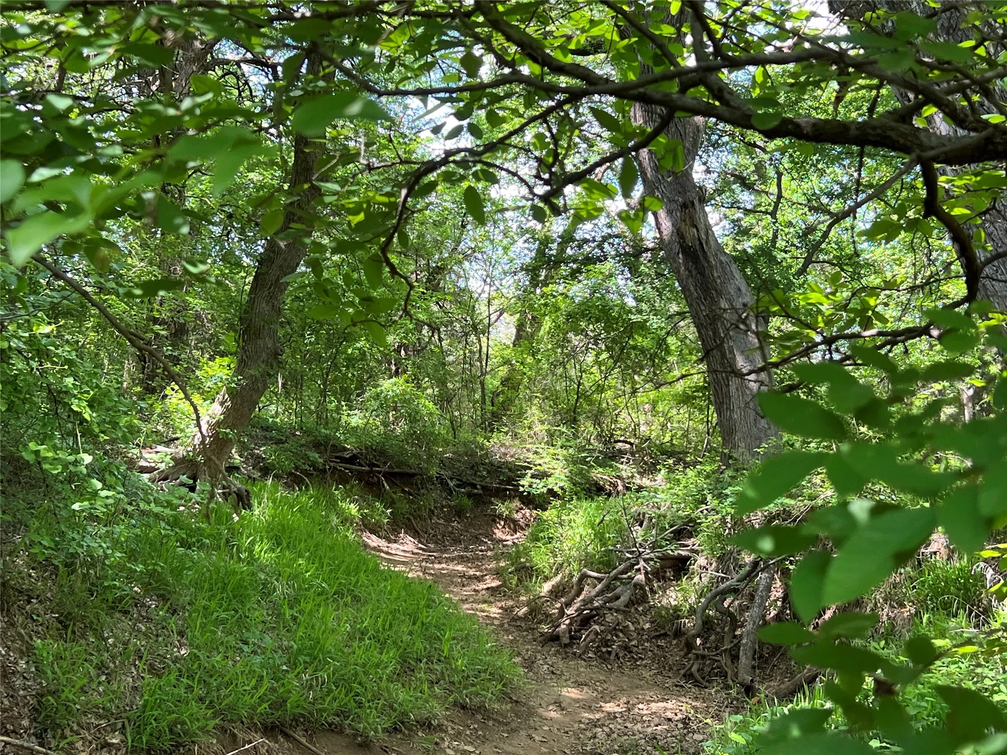 Unimproved Land For Sale in Johnson County , 3024 Ida Lane, Alvarado, Texas 76009, 0, 0, Garage spaces, 0 Sqft, built in 0, mls#21233989, Real Estate Agent in Alvarado, Homes For Sale in Johnson county, Homes For Sale in Alvarado, Realtor in Alvarado Texas, Real Estate Brokerage Independent Realty Texas, Luminita Cordes Realtor