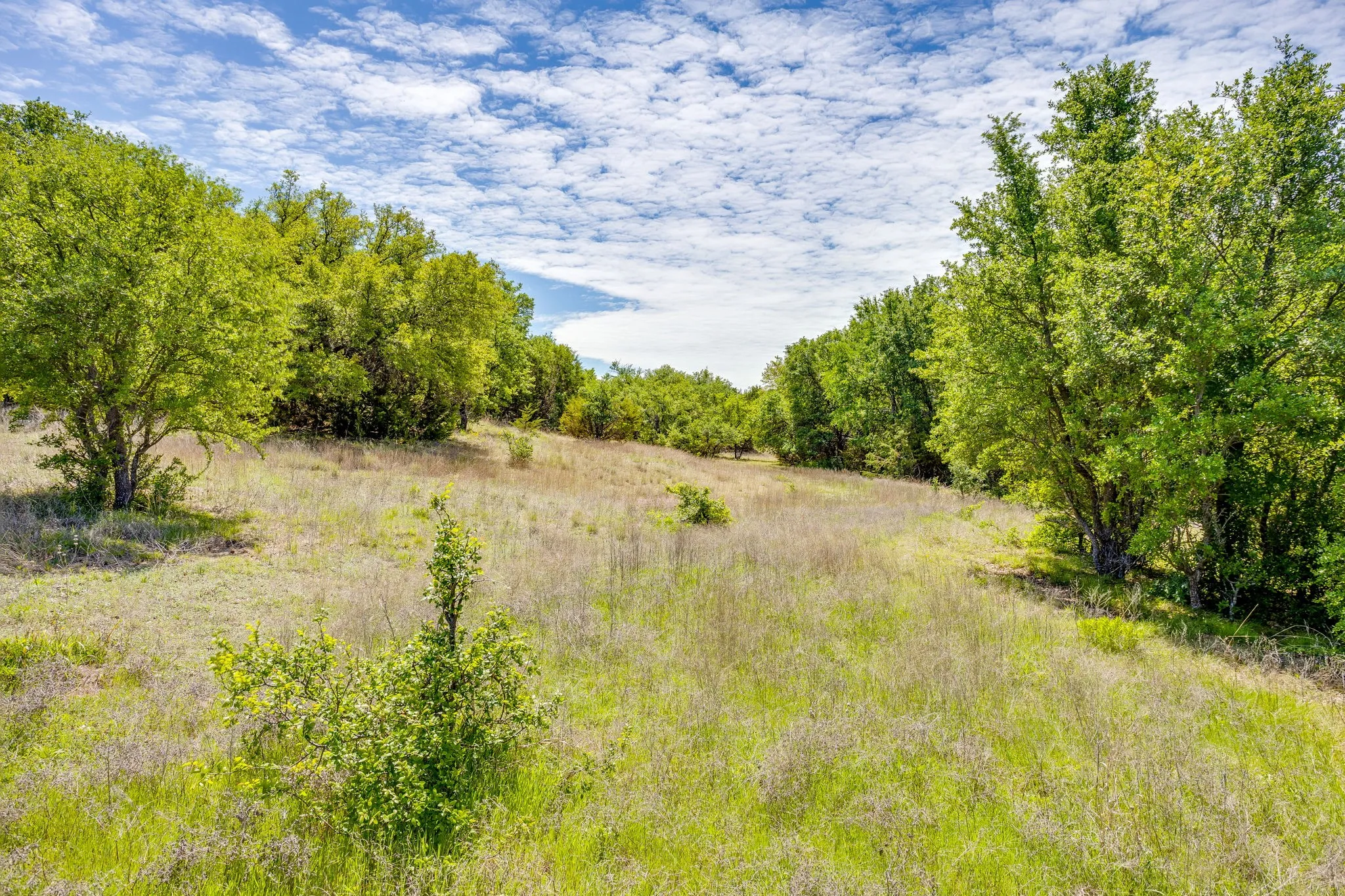 Ranch For Sale in Parker County , TBD Tucker Drive, Weatherford, Texas 76085, 0, 0, Garage spaces, 0 Sqft, built in 0, Price $2,330,200, mls#21236061, Real Estate Agent in Weatherford, Homes For Sale in Parker county, Homes For Sale in Weatherford, Realtor in Weatherford Texas, Real Estate Brokerage Independent Realty Texas, Luminita Cordes Realtor