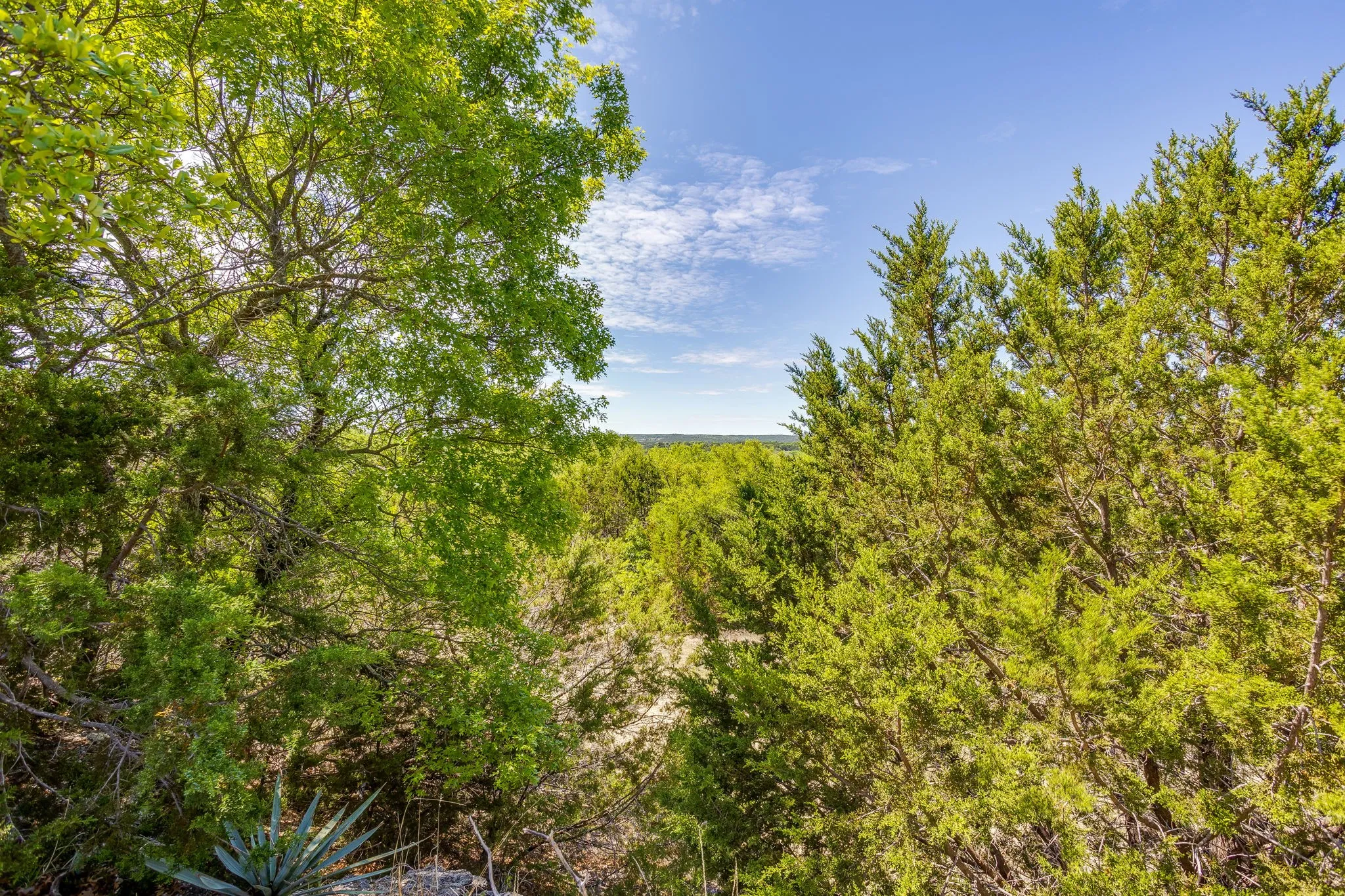 Ranch For Sale in Parker County , TBD Tucker Drive, Weatherford, Texas 76085, 0, 0, Garage spaces, 0 Sqft, built in 0, Price $2,330,200, mls#21236061, Real Estate Agent in Weatherford, Homes For Sale in Parker county, Homes For Sale in Weatherford, Realtor in Weatherford Texas, Real Estate Brokerage Independent Realty Texas, Luminita Cordes Realtor
