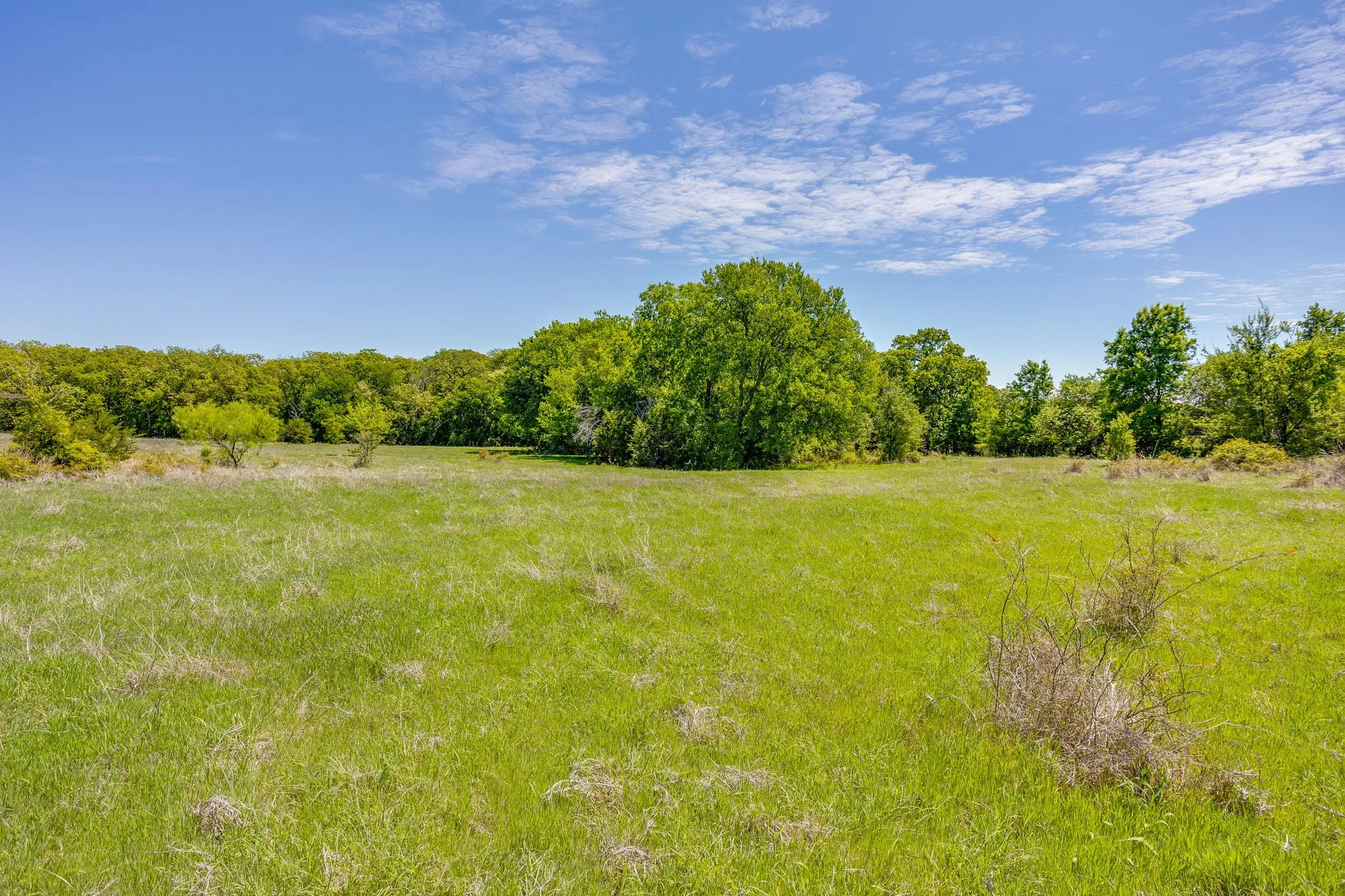 Ranch For Sale in Parker County , TBD Tucker Drive, Weatherford, Texas 76085, 0, 0, Garage spaces, 0 Sqft, built in 0, Price $2,330,200, mls#21236061, Real Estate Agent in Weatherford, Homes For Sale in Parker county, Homes For Sale in Weatherford, Realtor in Weatherford Texas, Real Estate Brokerage Independent Realty Texas, Luminita Cordes Realtor