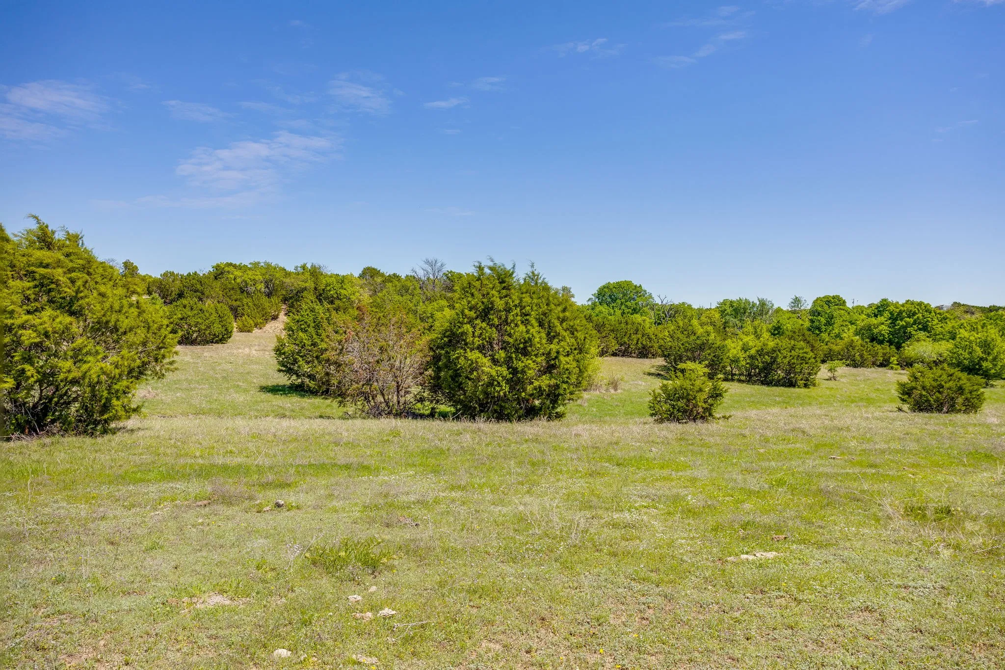 Ranch For Sale in Parker County , TBD Tucker Drive, Weatherford, Texas 76085, 0, 0, Garage spaces, 0 Sqft, built in 0, Price $2,330,200, mls#21236061, Real Estate Agent in Weatherford, Homes For Sale in Parker county, Homes For Sale in Weatherford, Realtor in Weatherford Texas, Real Estate Brokerage Independent Realty Texas, Luminita Cordes Realtor