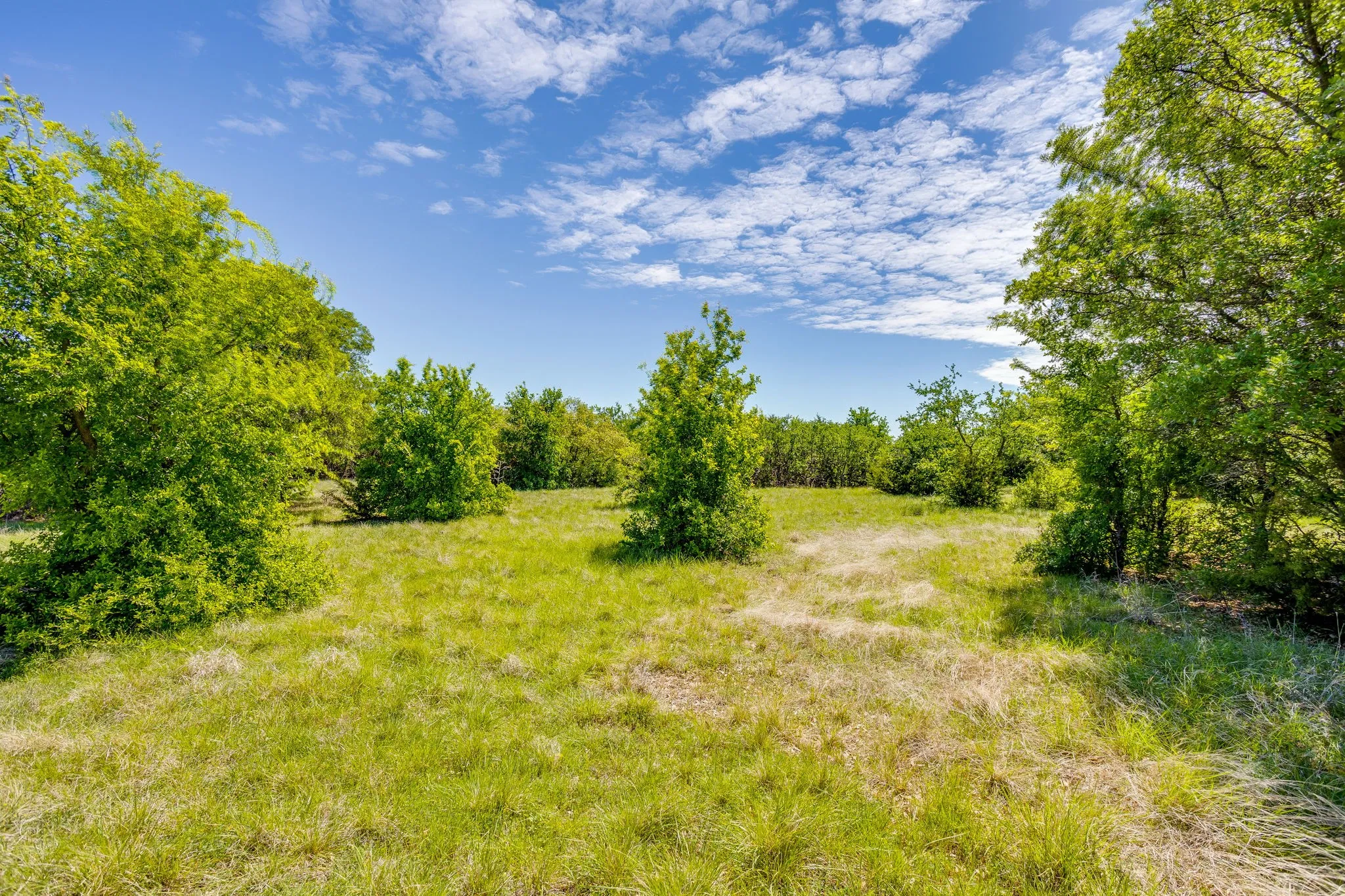 Ranch For Sale in Parker County , TBD Tucker Drive, Weatherford, Texas 76085, 0, 0, Garage spaces, 0 Sqft, built in 0, Price $2,330,200, mls#21236061, Real Estate Agent in Weatherford, Homes For Sale in Parker county, Homes For Sale in Weatherford, Realtor in Weatherford Texas, Real Estate Brokerage Independent Realty Texas, Luminita Cordes Realtor