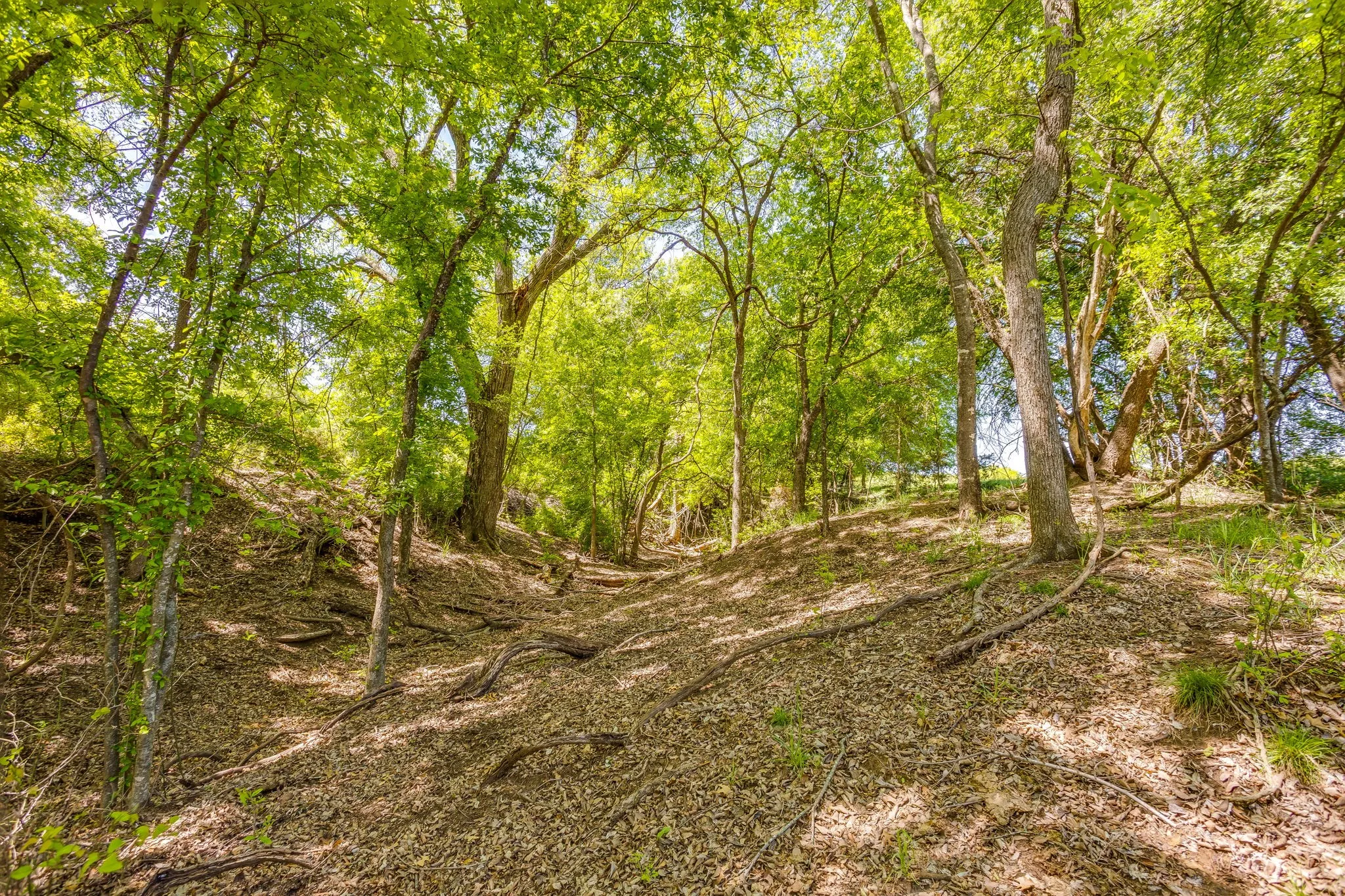 Ranch For Sale in Parker County , TBD Tucker Drive, Weatherford, Texas 76085, 0, 0, Garage spaces, 0 Sqft, built in 0, Price $2,330,200, mls#21236061, Real Estate Agent in Weatherford, Homes For Sale in Parker county, Homes For Sale in Weatherford, Realtor in Weatherford Texas, Real Estate Brokerage Independent Realty Texas, Luminita Cordes Realtor