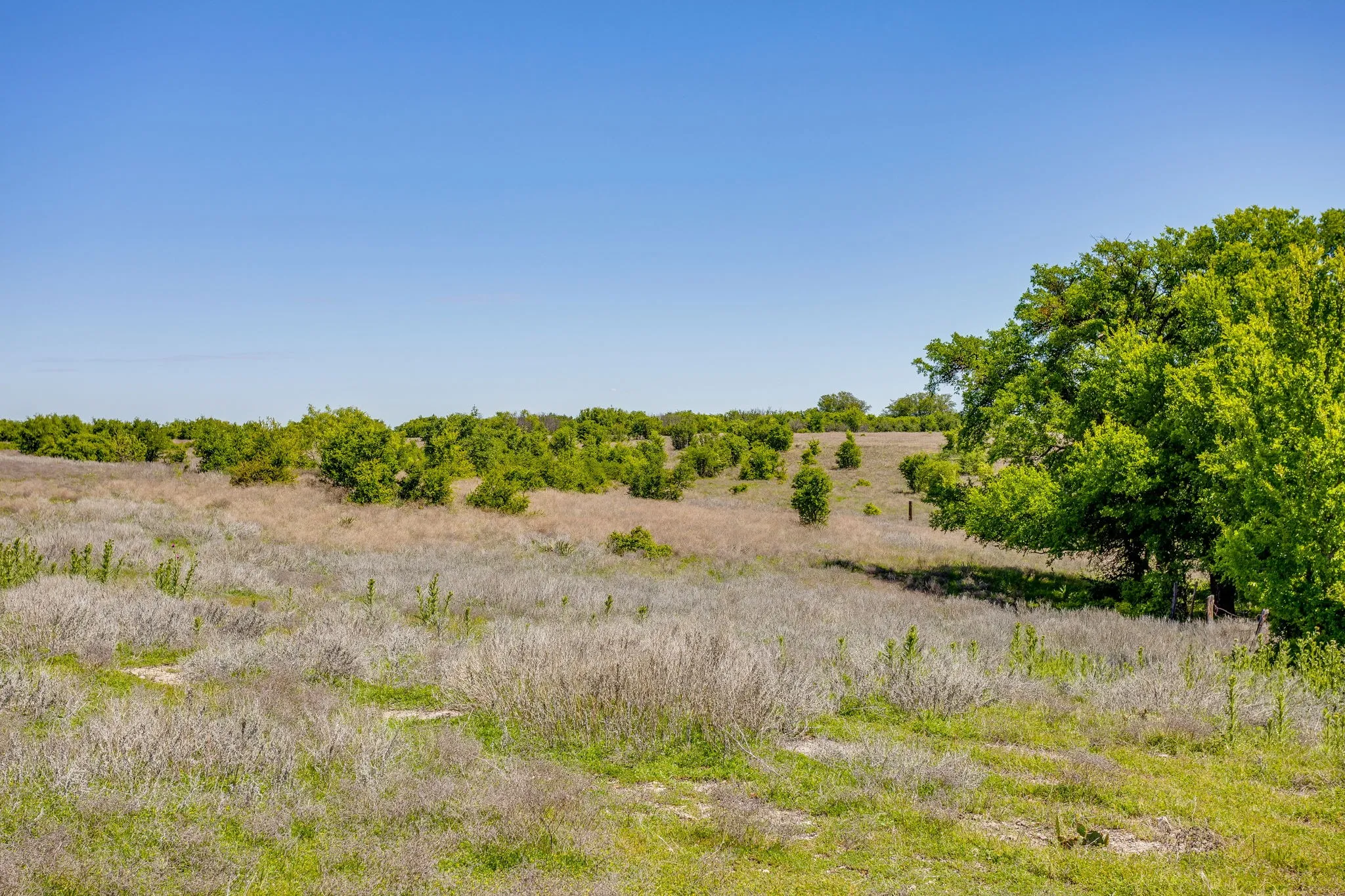 Ranch For Sale in Parker County , TBD Tucker Drive, Weatherford, Texas 76085, 0, 0, Garage spaces, 0 Sqft, built in 0, Price $2,330,200, mls#21236061, Real Estate Agent in Weatherford, Homes For Sale in Parker county, Homes For Sale in Weatherford, Realtor in Weatherford Texas, Real Estate Brokerage Independent Realty Texas, Luminita Cordes Realtor