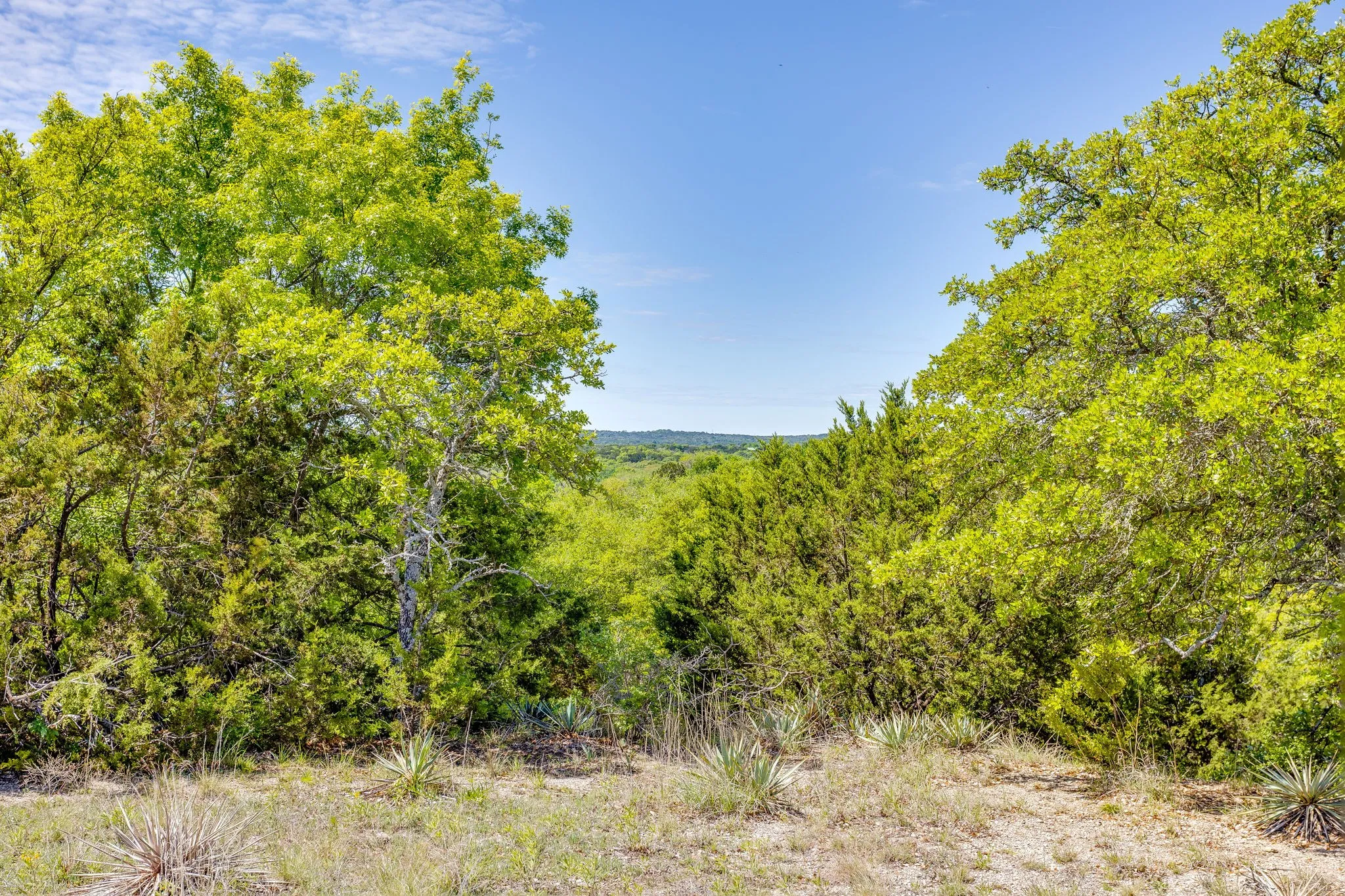 Ranch For Sale in Parker County , TBD Tucker Drive, Weatherford, Texas 76085, 0, 0, Garage spaces, 0 Sqft, built in 0, Price $2,330,200, mls#21236061, Real Estate Agent in Weatherford, Homes For Sale in Parker county, Homes For Sale in Weatherford, Realtor in Weatherford Texas, Real Estate Brokerage Independent Realty Texas, Luminita Cordes Realtor