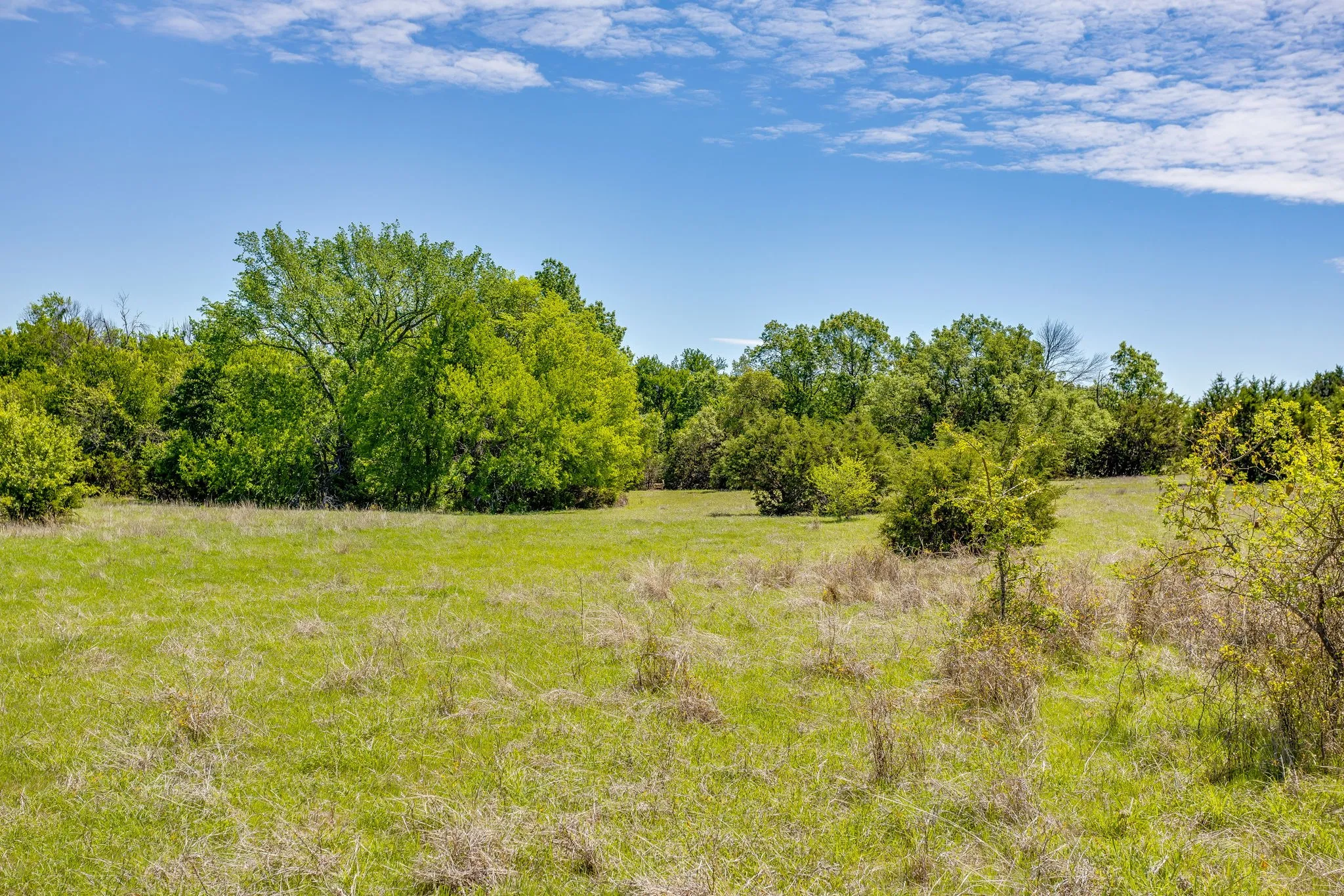Ranch For Sale in Parker County , TBD Tucker Drive, Weatherford, Texas 76085, 0, 0, Garage spaces, 0 Sqft, built in 0, Price $2,330,200, mls#21236061, Real Estate Agent in Weatherford, Homes For Sale in Parker county, Homes For Sale in Weatherford, Realtor in Weatherford Texas, Real Estate Brokerage Independent Realty Texas, Luminita Cordes Realtor
