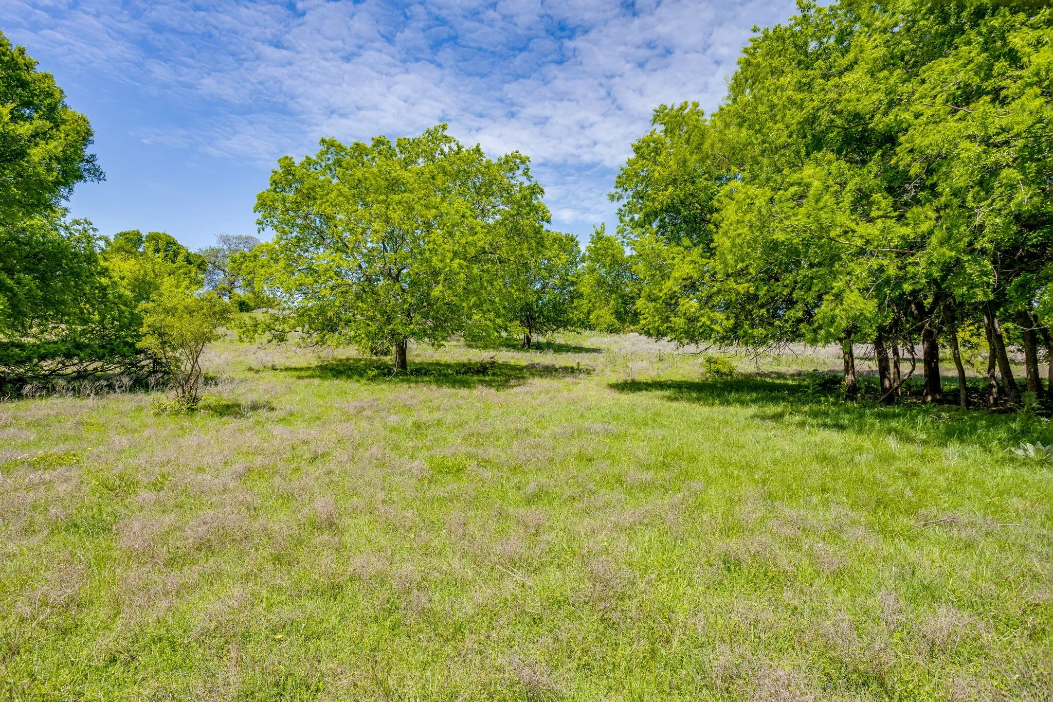 Ranch For Sale in Parker County , TBD Tucker Drive, Weatherford, Texas 76085, 0, 0, Garage spaces, 0 Sqft, built in 0, Price $2,330,200, mls#21236061, Real Estate Agent in Weatherford, Homes For Sale in Parker county, Homes For Sale in Weatherford, Realtor in Weatherford Texas, Real Estate Brokerage Independent Realty Texas, Luminita Cordes Realtor