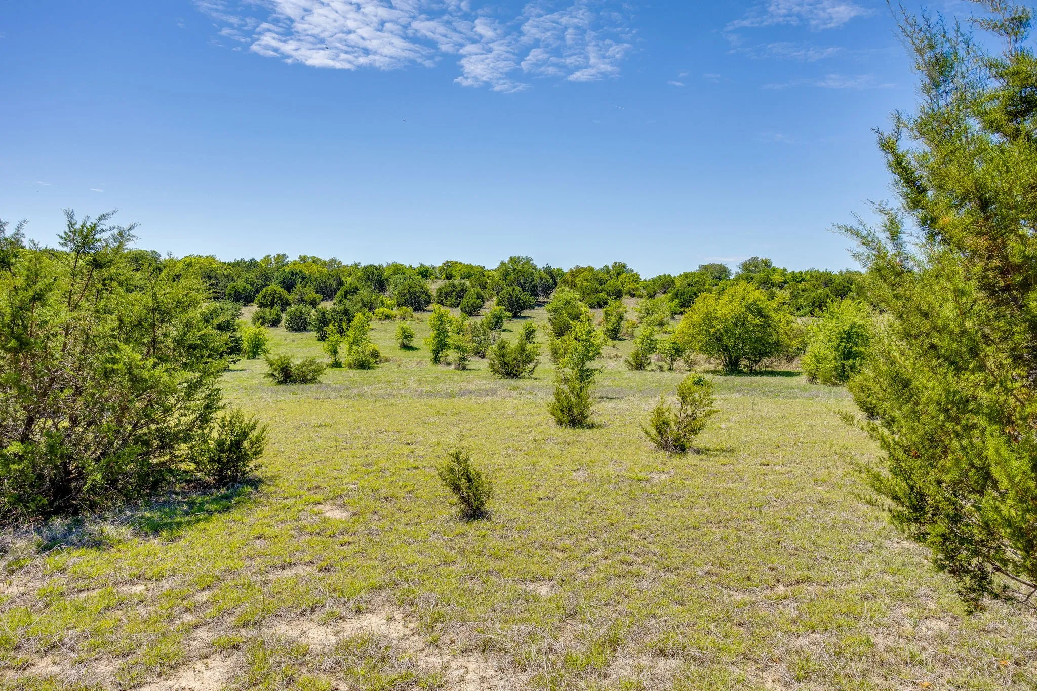 Ranch For Sale in Parker County , TBD Tucker Drive, Weatherford, Texas 76085, 0, 0, Garage spaces, 0 Sqft, built in 0, Price $2,330,200, mls#21236061, Real Estate Agent in Weatherford, Homes For Sale in Parker county, Homes For Sale in Weatherford, Realtor in Weatherford Texas, Real Estate Brokerage Independent Realty Texas, Luminita Cordes Realtor