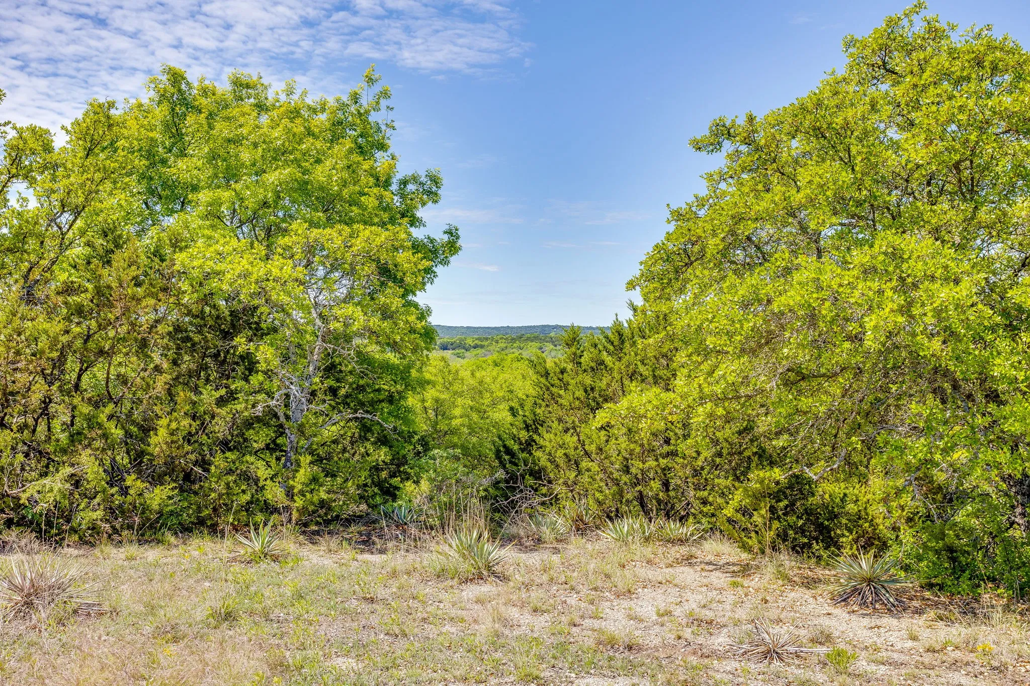 Ranch For Sale in Parker County , TBD Tucker Drive, Weatherford, Texas 76085, 0, 0, Garage spaces, 0 Sqft, built in 0, Price $2,330,200, mls#21236061, Real Estate Agent in Weatherford, Homes For Sale in Parker county, Homes For Sale in Weatherford, Realtor in Weatherford Texas, Real Estate Brokerage Independent Realty Texas, Luminita Cordes Realtor