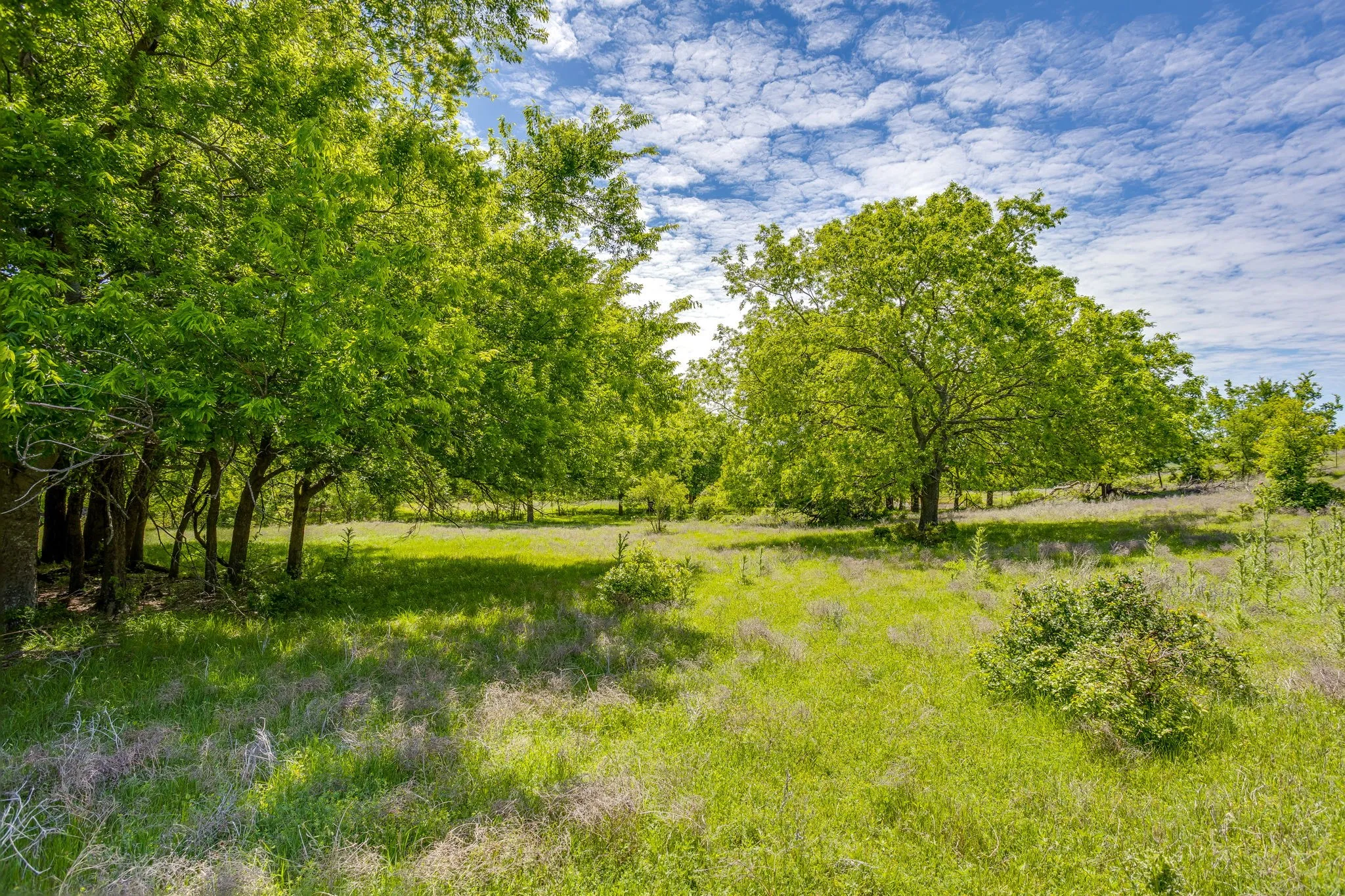Ranch For Sale in Parker County , TBD Tucker Drive, Weatherford, Texas 76085, 0, 0, Garage spaces, 0 Sqft, built in 0, Price $2,330,200, mls#21236061, Real Estate Agent in Weatherford, Homes For Sale in Parker county, Homes For Sale in Weatherford, Realtor in Weatherford Texas, Real Estate Brokerage Independent Realty Texas, Luminita Cordes Realtor