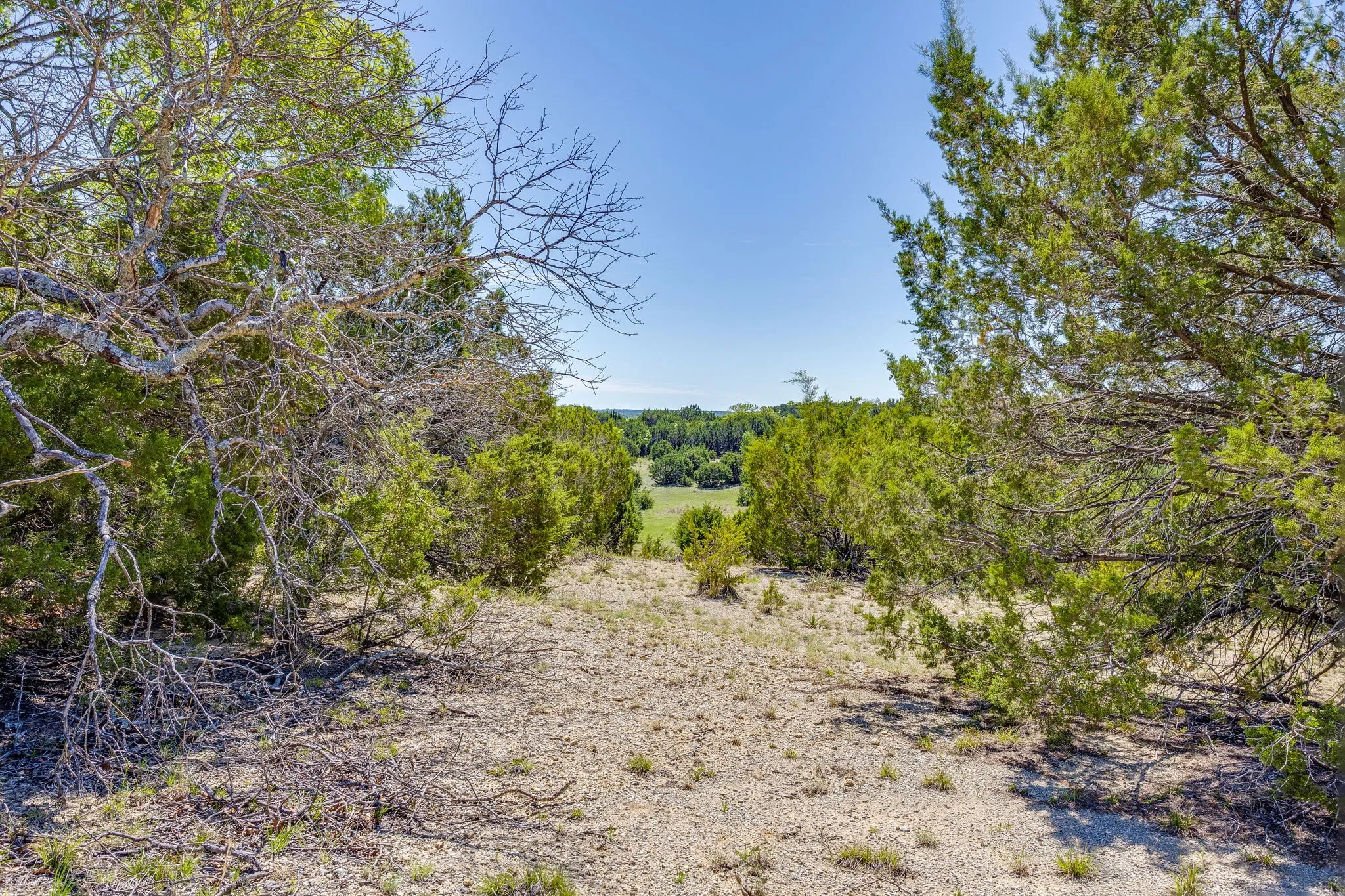 Ranch For Sale in Parker County , TBD Tucker Drive, Weatherford, Texas 76085, 0, 0, Garage spaces, 0 Sqft, built in 0, Price $2,330,200, mls#21236061, Real Estate Agent in Weatherford, Homes For Sale in Parker county, Homes For Sale in Weatherford, Realtor in Weatherford Texas, Real Estate Brokerage Independent Realty Texas, Luminita Cordes Realtor