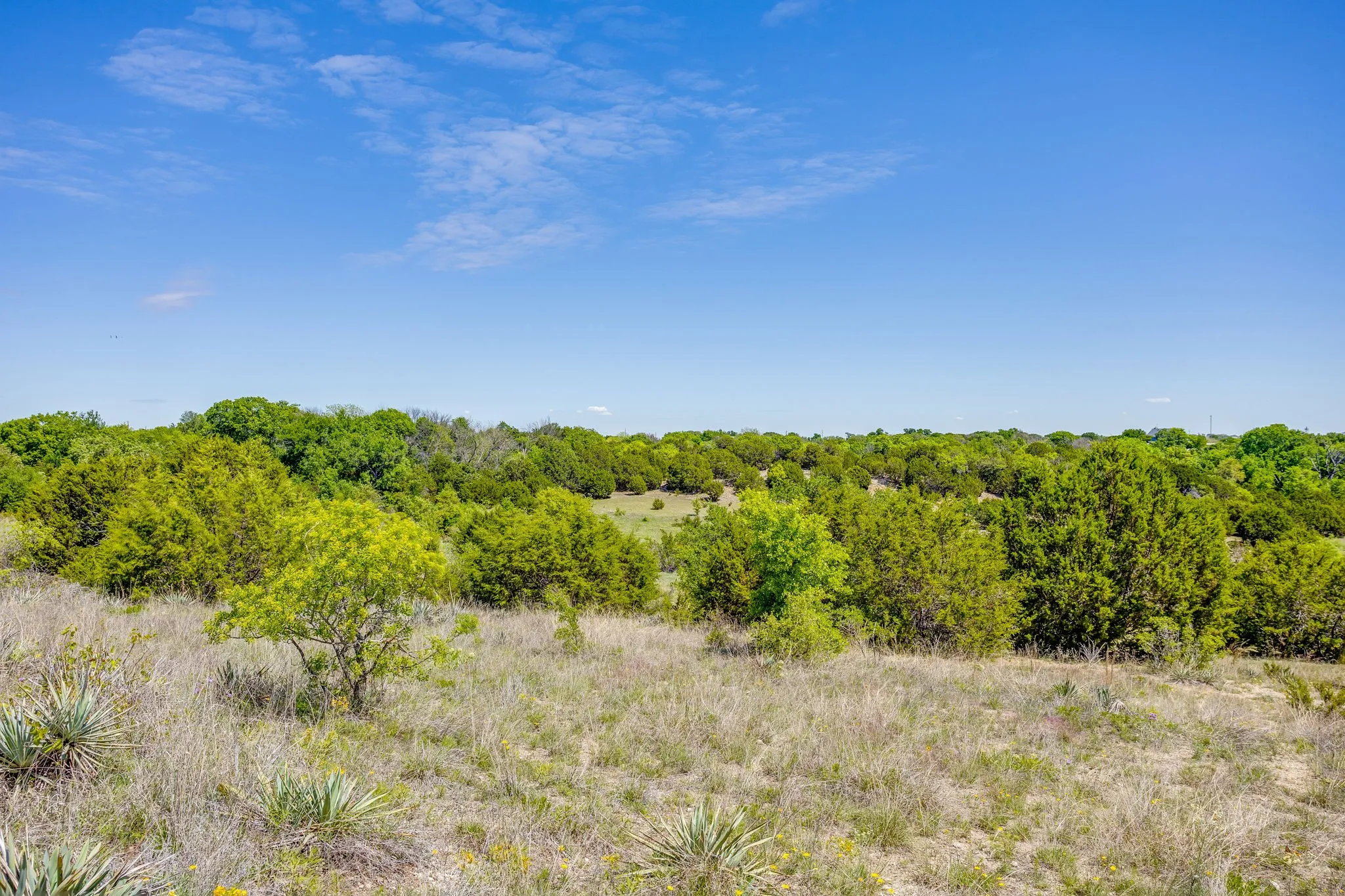 Ranch For Sale in Parker County , TBD Tucker Drive, Weatherford, Texas 76085, 0, 0, Garage spaces, 0 Sqft, built in 0, Price $2,330,200, mls#21236061, Real Estate Agent in Weatherford, Homes For Sale in Parker county, Homes For Sale in Weatherford, Realtor in Weatherford Texas, Real Estate Brokerage Independent Realty Texas, Luminita Cordes Realtor