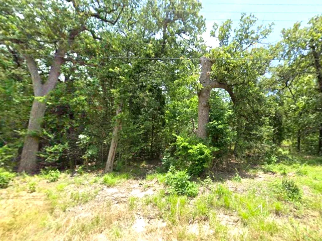 Unimproved Land For Sale in Henderson County , 0 Goliad Drive, Log Cabin, Texas 75148, 0, 0, Garage spaces, 0 Sqft, built in 0, mls#21236235, Real Estate Agent in Log Cabin, Homes For Sale in Henderson county, Homes For Sale in Log Cabin, Realtor in Log Cabin Texas, Real Estate Brokerage Independent Realty Texas, Luminita Cordes Realtor