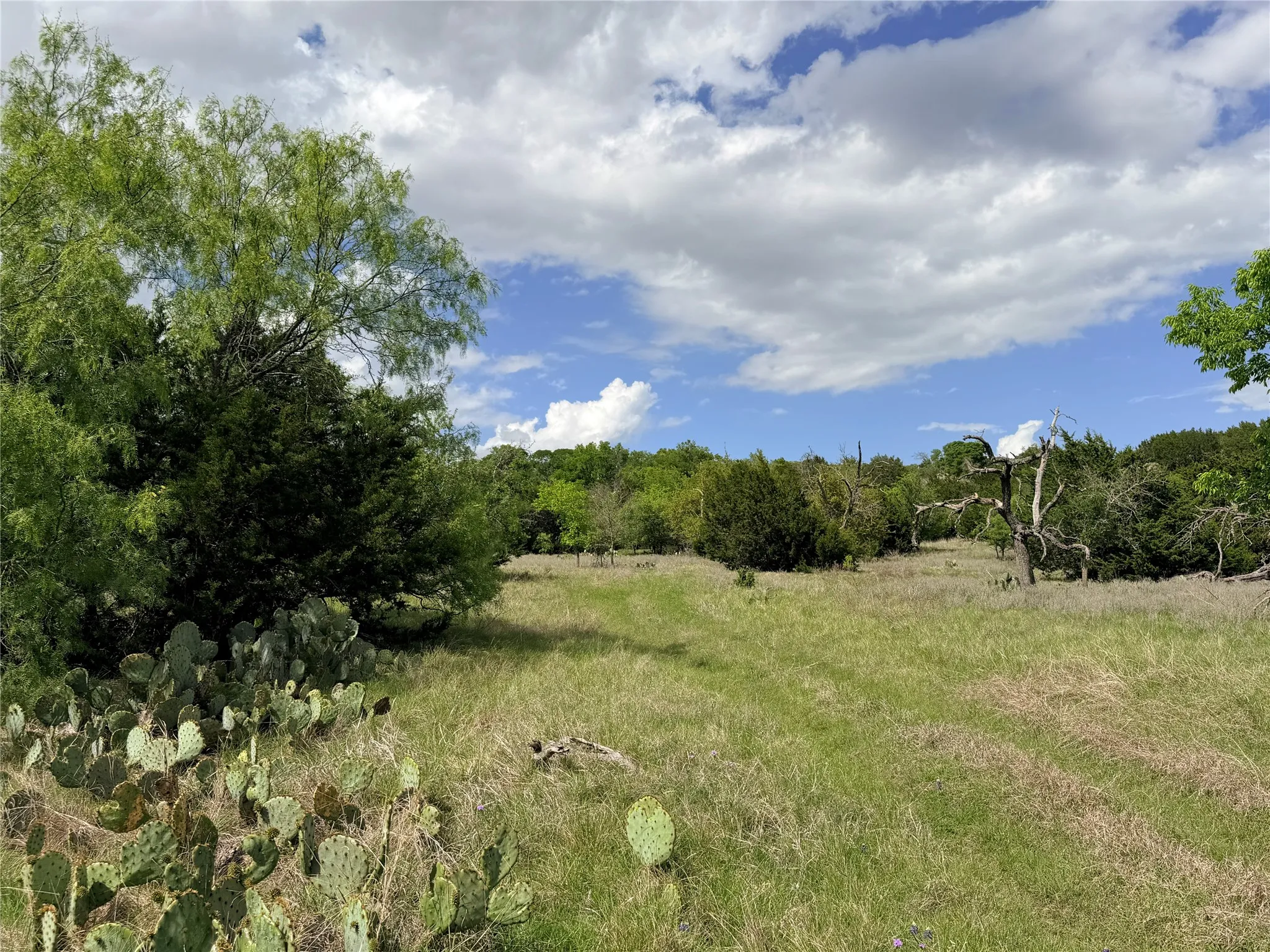 Ranch For Sale in Mills County , 221 CR 250, Star, Texas 76880, 0, 0, Garage spaces, 0 Sqft, built in 0, mls#21236278, Real Estate Agent in Star, Homes For Sale in Mills county, Homes For Sale in Star, Realtor in Star Texas, Real Estate Brokerage Independent Realty Texas, Luminita Cordes Realtor