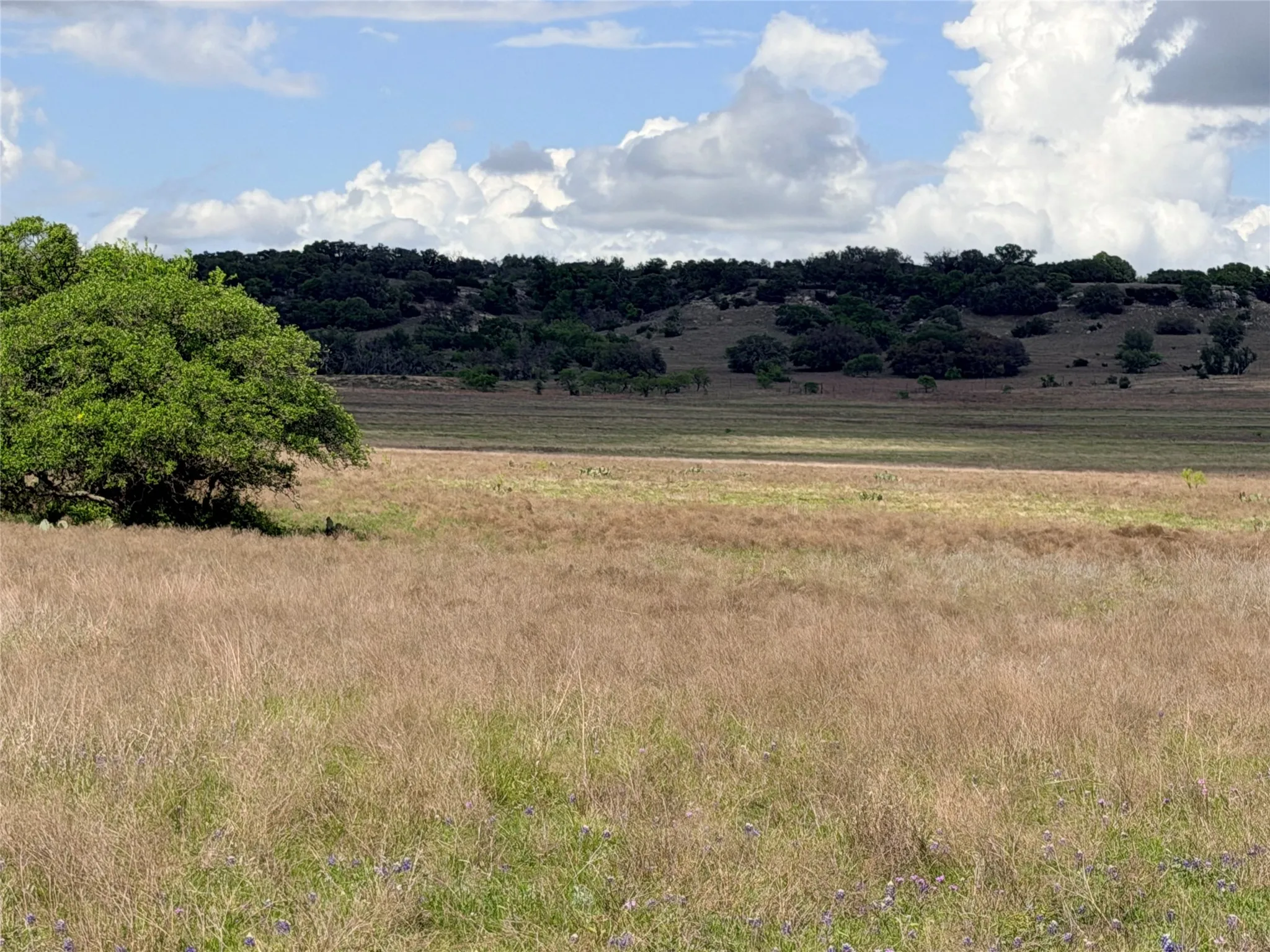 Ranch For Sale in Mills County , 221 CR 250, Star, Texas 76880, 0, 0, Garage spaces, 0 Sqft, built in 0, mls#21236278, Real Estate Agent in Star, Homes For Sale in Mills county, Homes For Sale in Star, Realtor in Star Texas, Real Estate Brokerage Independent Realty Texas, Luminita Cordes Realtor