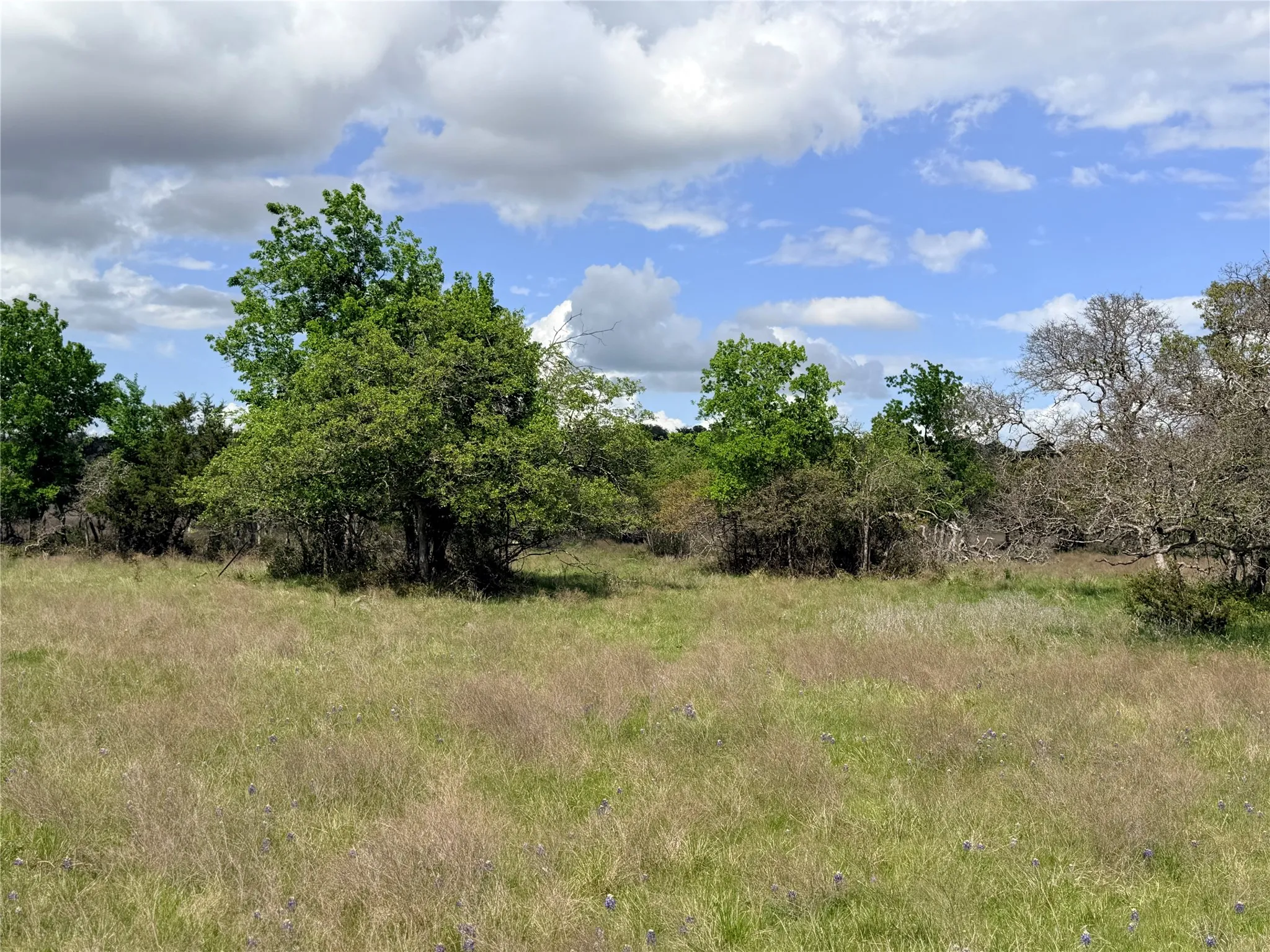 Ranch For Sale in Mills County , 221 CR 250, Star, Texas 76880, 0, 0, Garage spaces, 0 Sqft, built in 0, mls#21236278, Real Estate Agent in Star, Homes For Sale in Mills county, Homes For Sale in Star, Realtor in Star Texas, Real Estate Brokerage Independent Realty Texas, Luminita Cordes Realtor