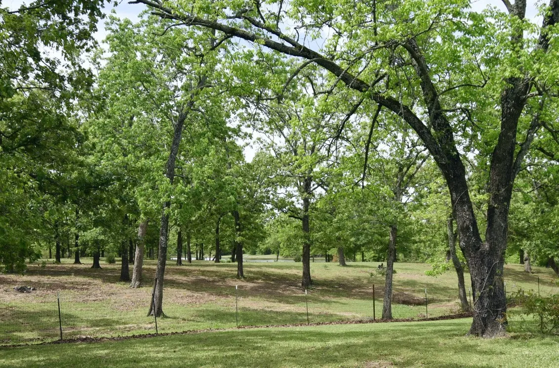 Single Family Residence For Sale in Wood County , 599 County Road 1260, Quitman, Texas 75783, 2 Bedroom, 2 Bathroom, Garage spaces, 0 Sqft, built in 0, Preowned, mls#21234428, Real Estate Agent in Quitman, Homes For Sale in Wood county, Homes For Sale in Quitman, Realtor in Quitman Texas, Real Estate Brokerage Independent Realty Texas, Luminita Cordes Realtor
