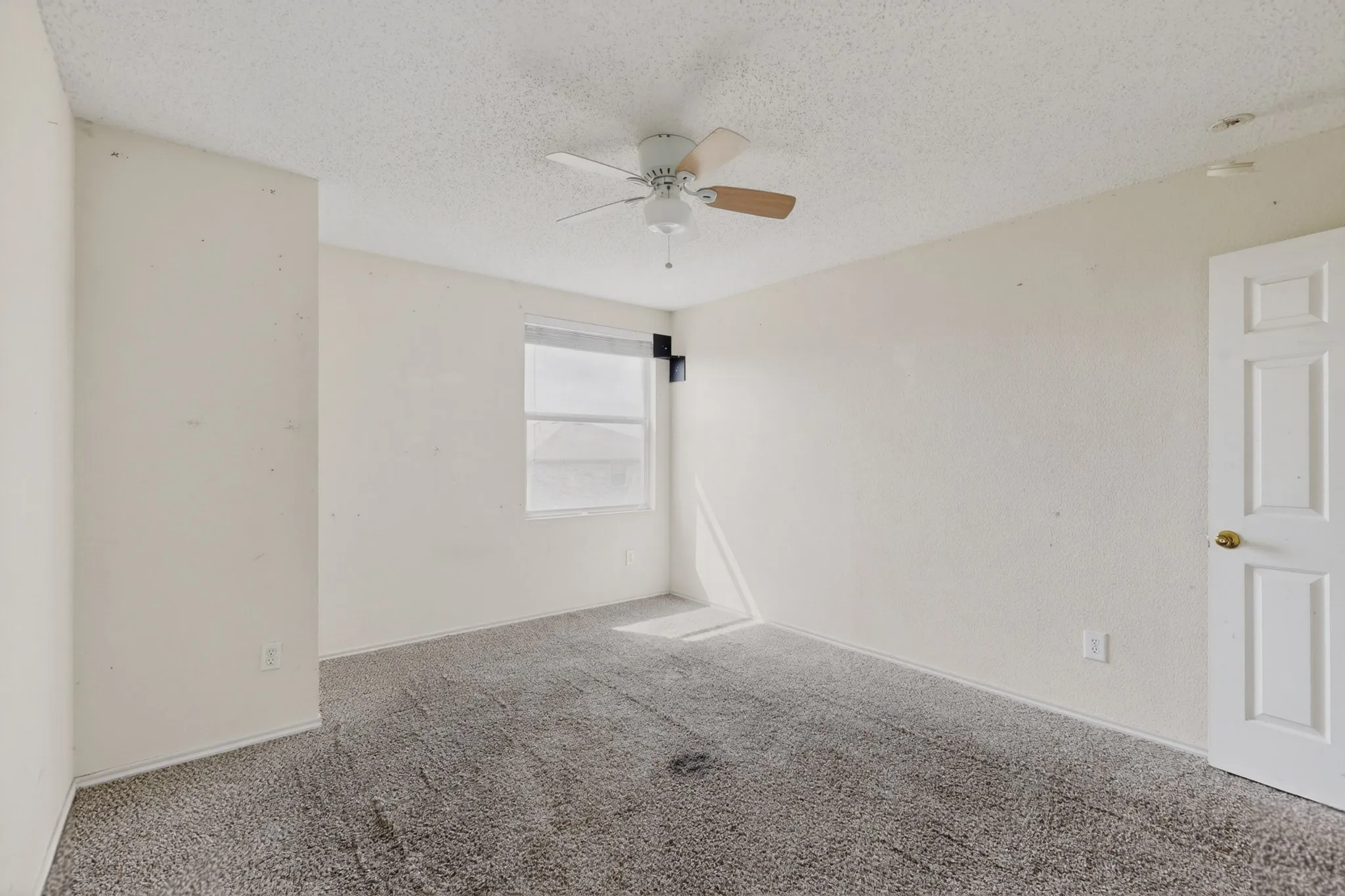 Spare room featuring carpet, a textured ceiling, and ceiling fan