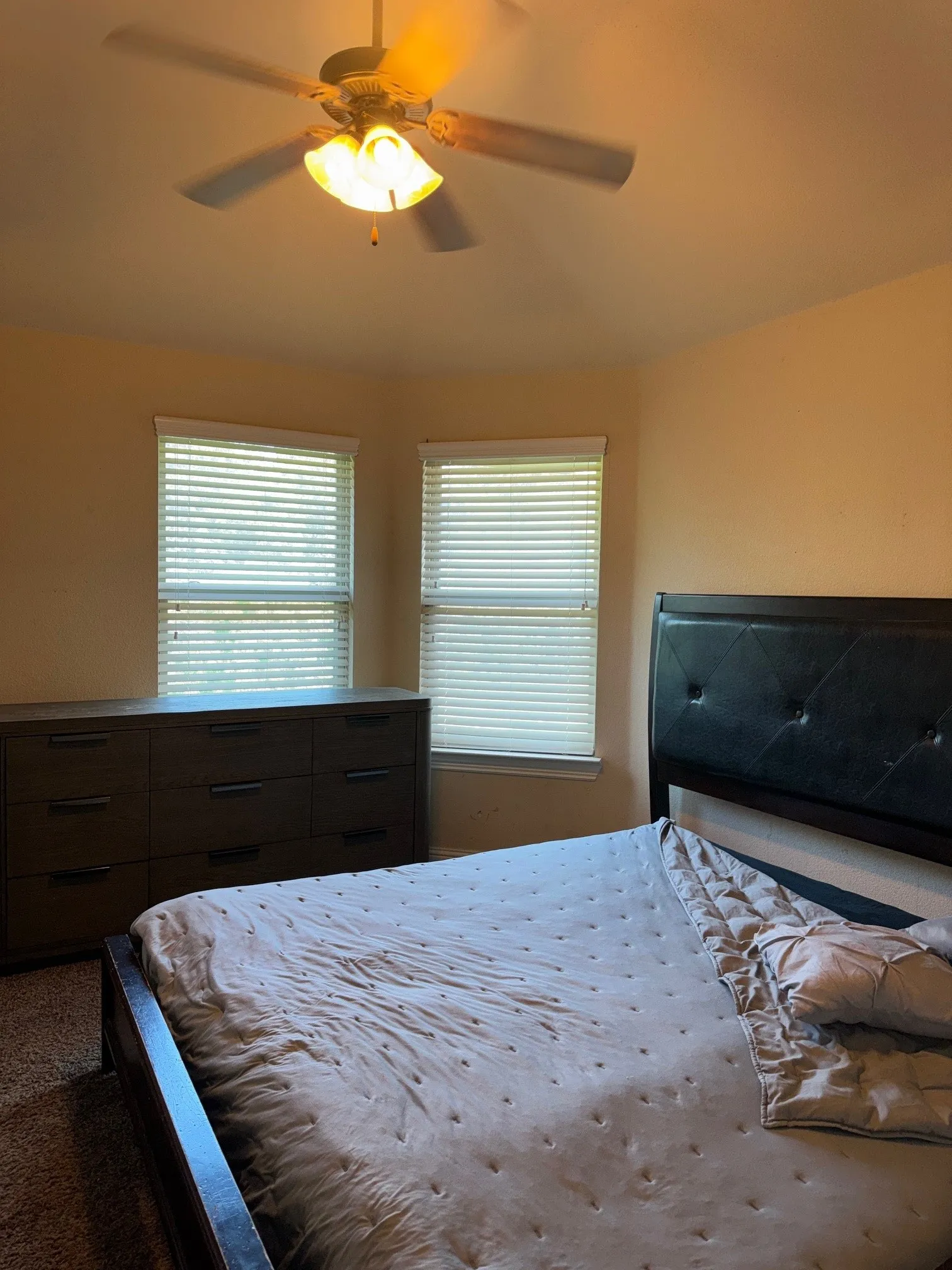 Carpeted room featuring a ceiling fan with integrated lighting, two windows with blinds, and light-toned walls