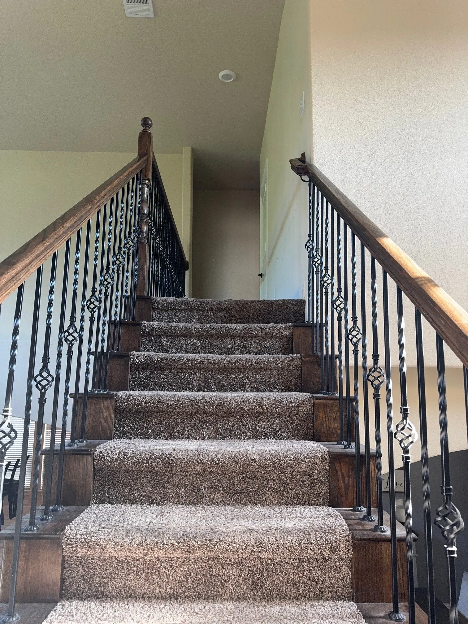 Staircase featuring dark wood-finish handrails, decorative wrought-iron balusters, and plush carpeted treads