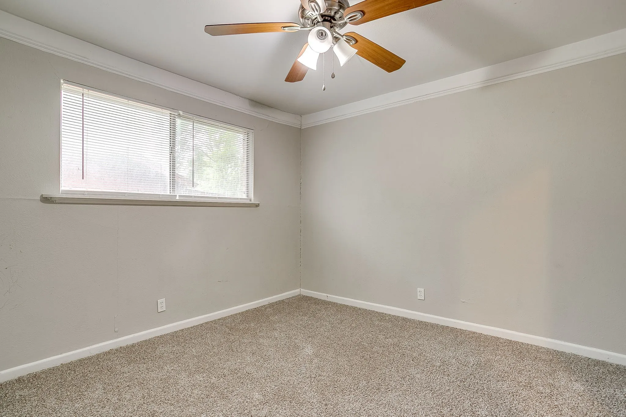 Carpeted room featuring a ceiling fan with light fixture, window with blinds, and neutral wall tones