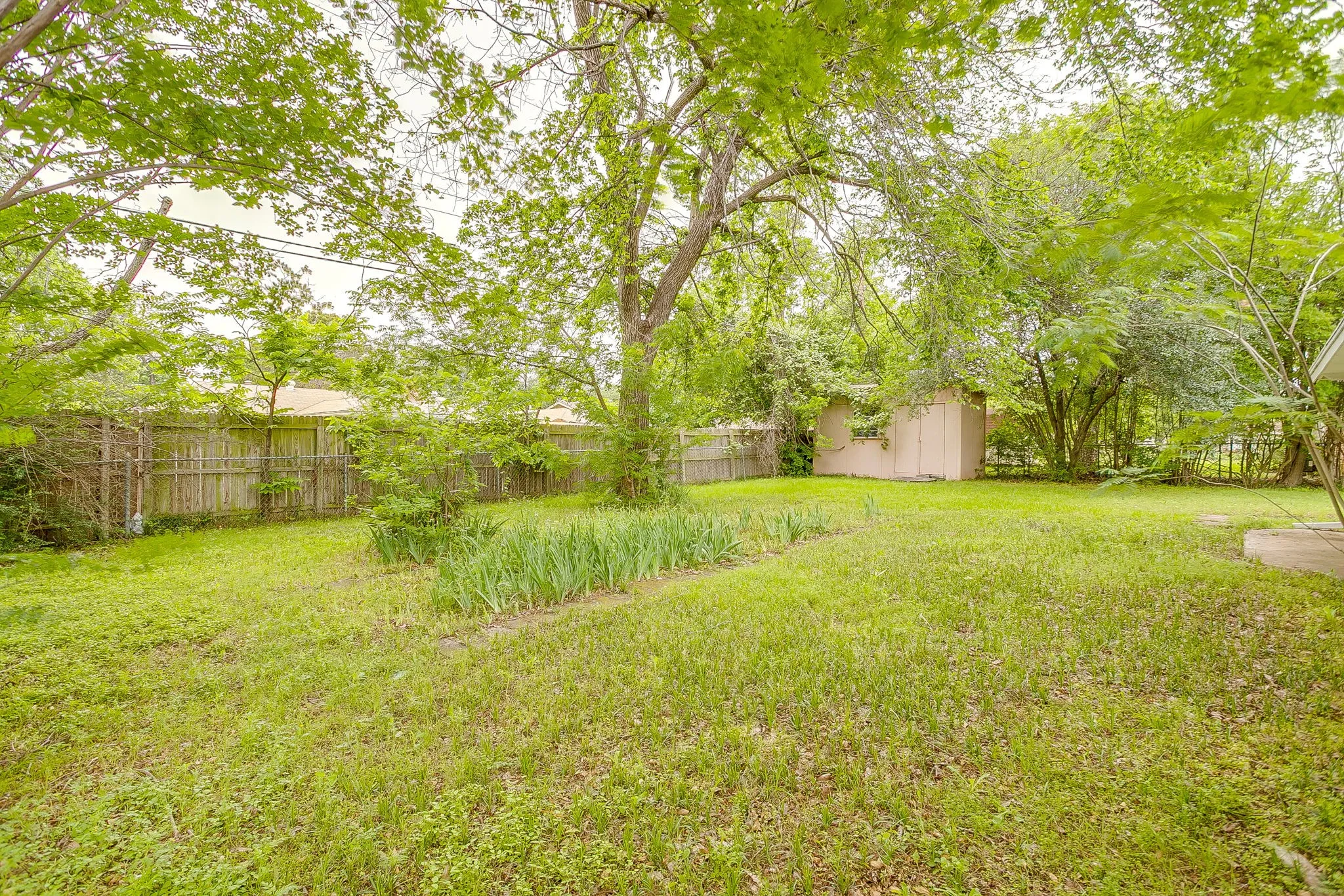 Expansive backyard featuring a lush lawn, mature trees providing natural canopy, a wooden privacy fence, a detached storage shed, and a dedicated garden bed