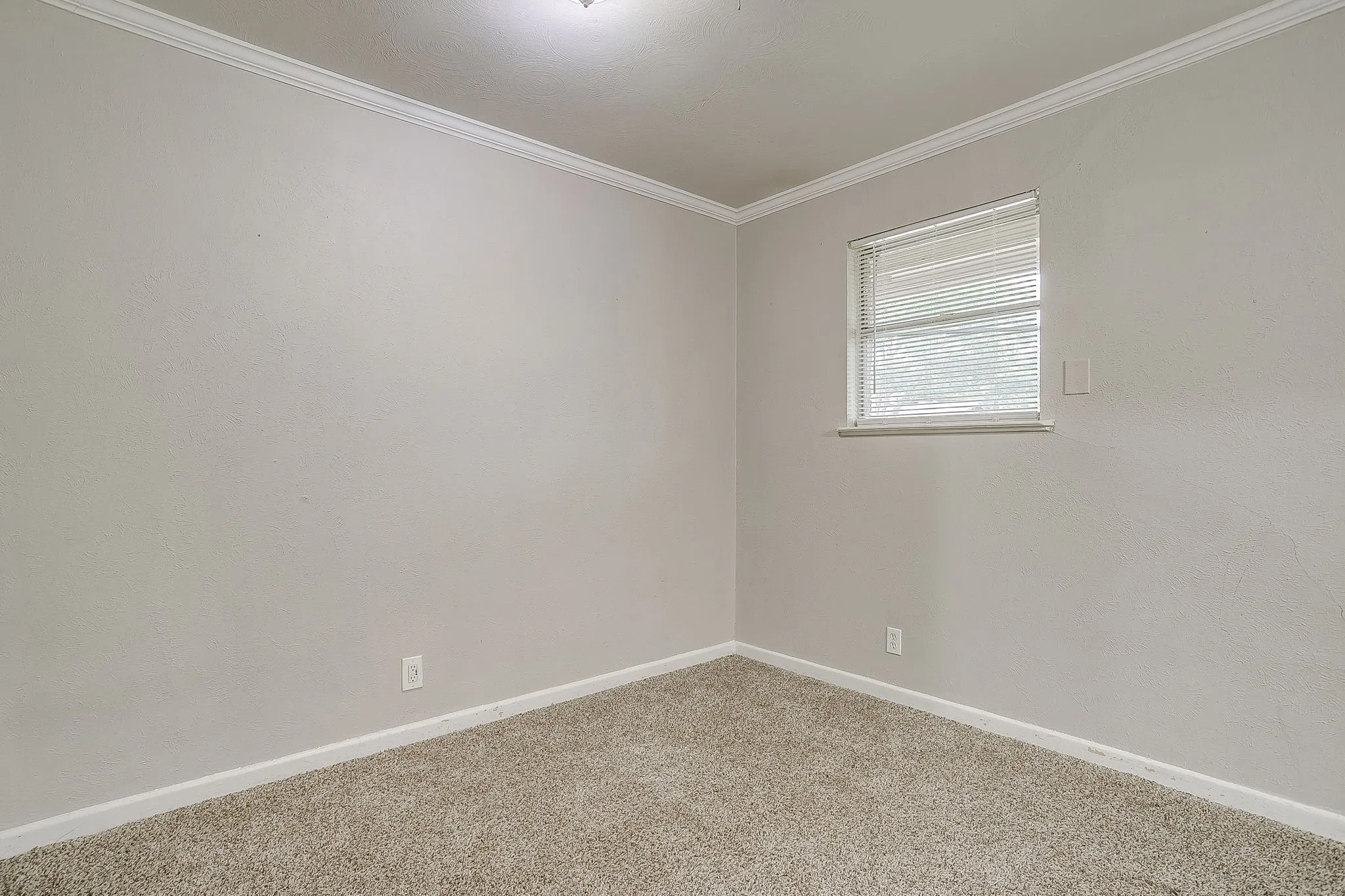 Carpeted room featuring a window with horizontal blinds, light gray walls, white baseboards, and crown molding