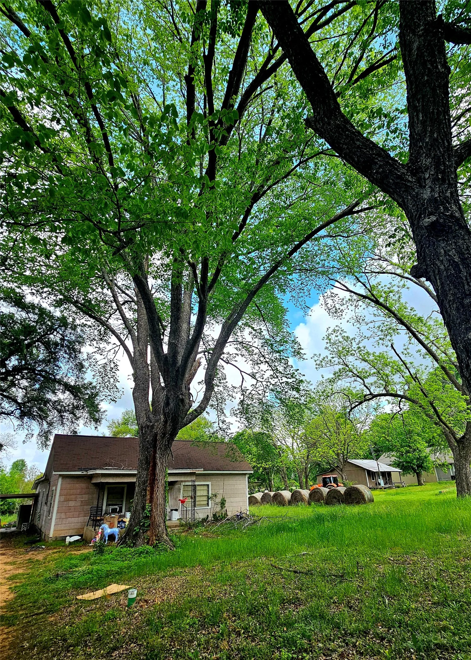 Single Family Residence For Sale in Henderson County , 200 Jay Street, Trinidad, Texas 75163, 3 Bedroom, 1 Bathroom, 2 Garage spaces, 1,346 Sqft, built in 1944, mls#21233089, Real Estate Agent in Trinidad, Homes For Sale in Henderson county, Homes For Sale in Trinidad, Realtor in Trinidad Texas, Real Estate Brokerage Independent Realty Texas, Luminita Cordes Realtor
