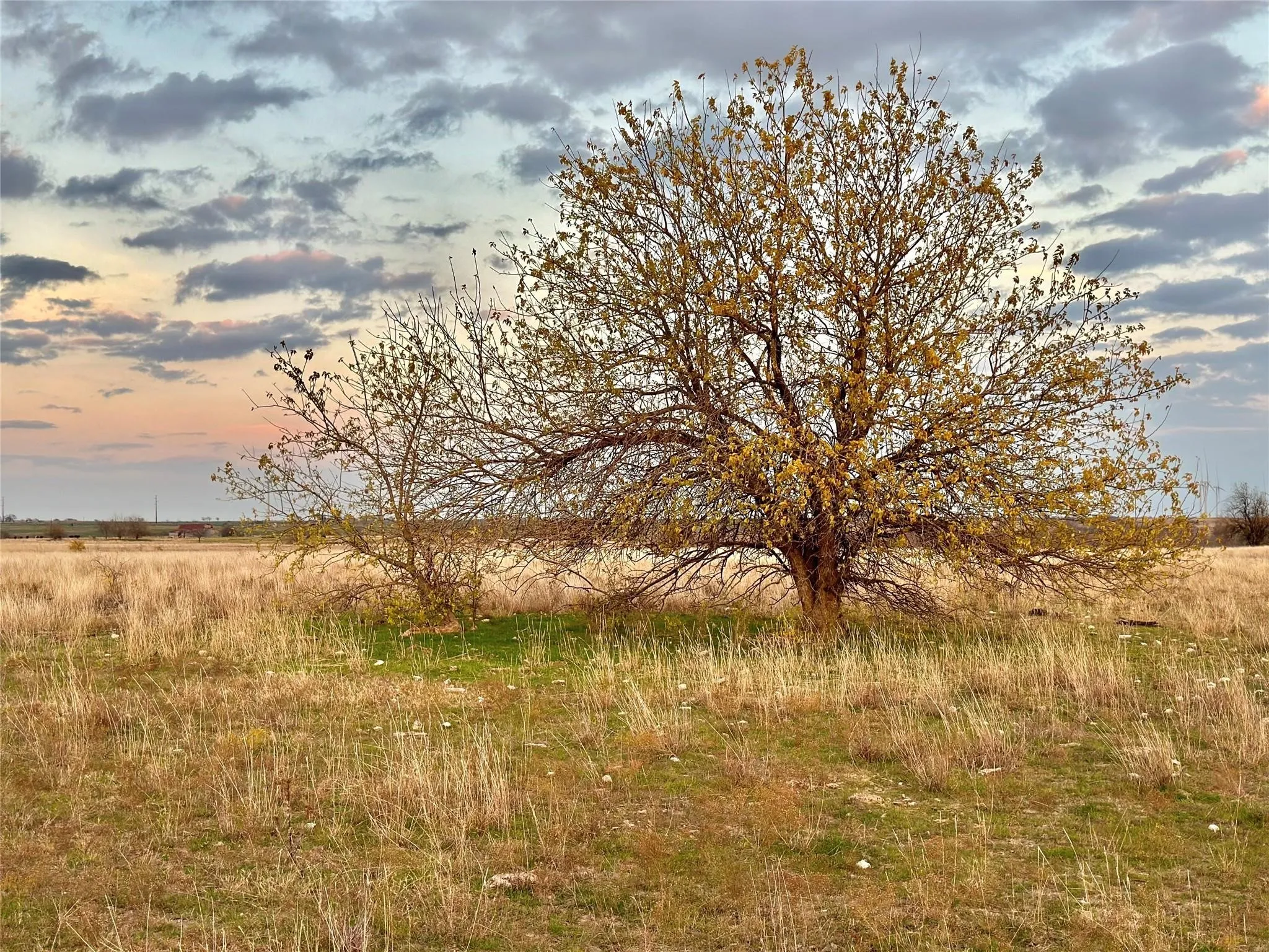 Unimproved Land For Sale in Cooke County , Lot 7 County Road 353, Gainesville, Texas 76240, 0, 0, Garage spaces, 0 Sqft, built in 0, Price $345,000, mls#21236511, Real Estate Agent in Gainesville, Homes For Sale in Cooke county, Homes For Sale in Gainesville, Realtor in Gainesville Texas, Real Estate Brokerage Independent Realty Texas, Luminita Cordes Realtor