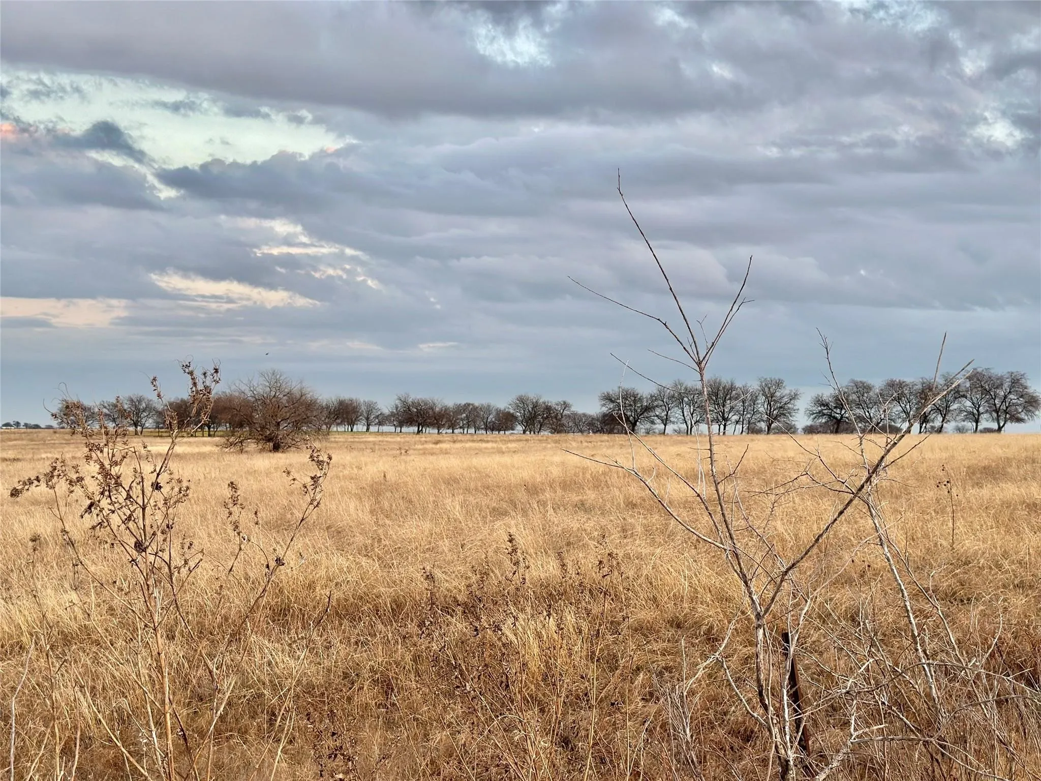 Unimproved Land For Sale in Cooke County , Lot 6 County Road 353, Gainesville, Texas 76240, 0, 0, Garage spaces, 0 Sqft, built in 0, Price $345,000, mls#21236514, Real Estate Agent in Gainesville, Homes For Sale in Cooke county, Homes For Sale in Gainesville, Realtor in Gainesville Texas, Real Estate Brokerage Independent Realty Texas, Luminita Cordes Realtor