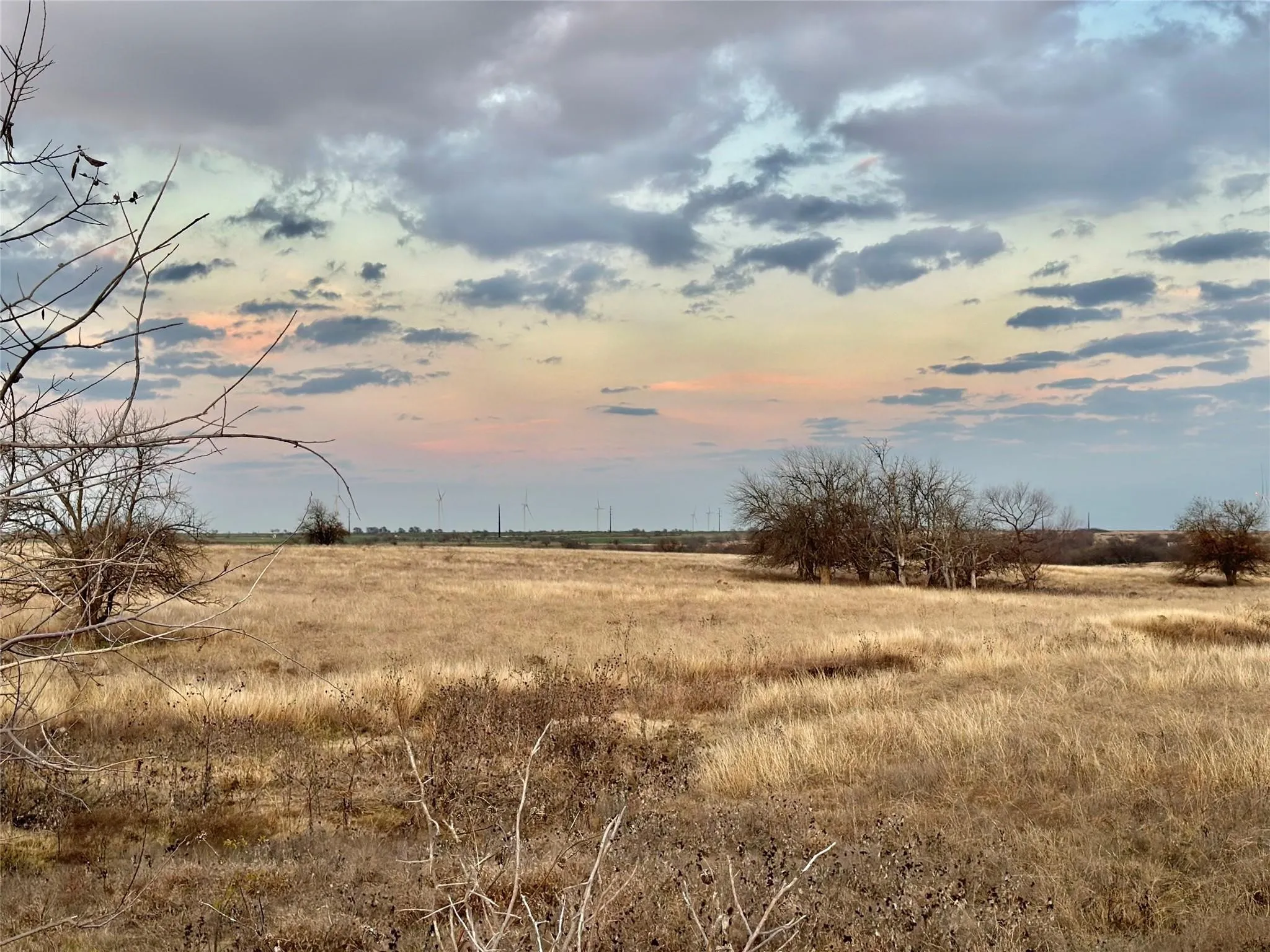 Unimproved Land For Sale in Cooke County , Lot 8 County Road 353, Gainesville, Texas 76240, 0, 0, Garage spaces, 0 Sqft, built in 0, Price $345,000, mls#21236519, Real Estate Agent in Gainesville, Homes For Sale in Cooke county, Homes For Sale in Gainesville, Realtor in Gainesville Texas, Real Estate Brokerage Independent Realty Texas, Luminita Cordes Realtor