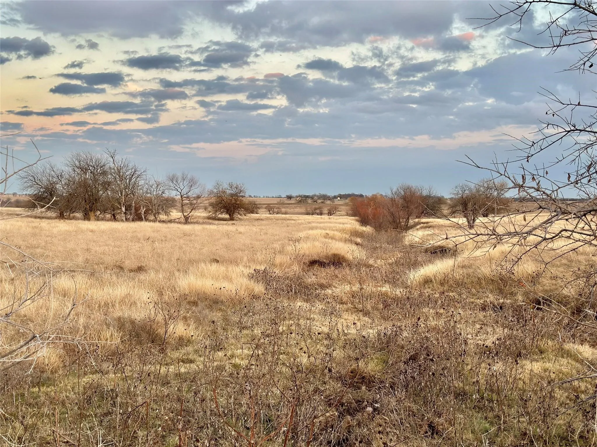 Unimproved Land For Sale in Cooke County , Lot 8 County Road 353, Gainesville, Texas 76240, 0, 0, Garage spaces, 0 Sqft, built in 0, Price $345,000, mls#21236519, Real Estate Agent in Gainesville, Homes For Sale in Cooke county, Homes For Sale in Gainesville, Realtor in Gainesville Texas, Real Estate Brokerage Independent Realty Texas, Luminita Cordes Realtor
