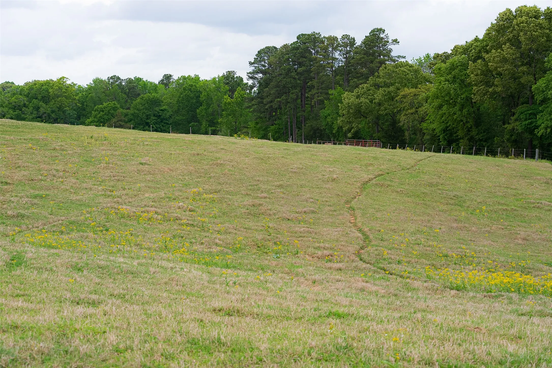 Improved Land For Sale in Cherokee County , 0 CR 1615, Jacksonville, Texas 75766, 0, 0, Garage spaces, 0 Sqft, built in 0, Price $649,900, mls#21236518, Real Estate Agent in Jacksonville, Homes For Sale in Cherokee county, Homes For Sale in Jacksonville, Realtor in Jacksonville Texas, Real Estate Brokerage Independent Realty Texas, Luminita Cordes Realtor