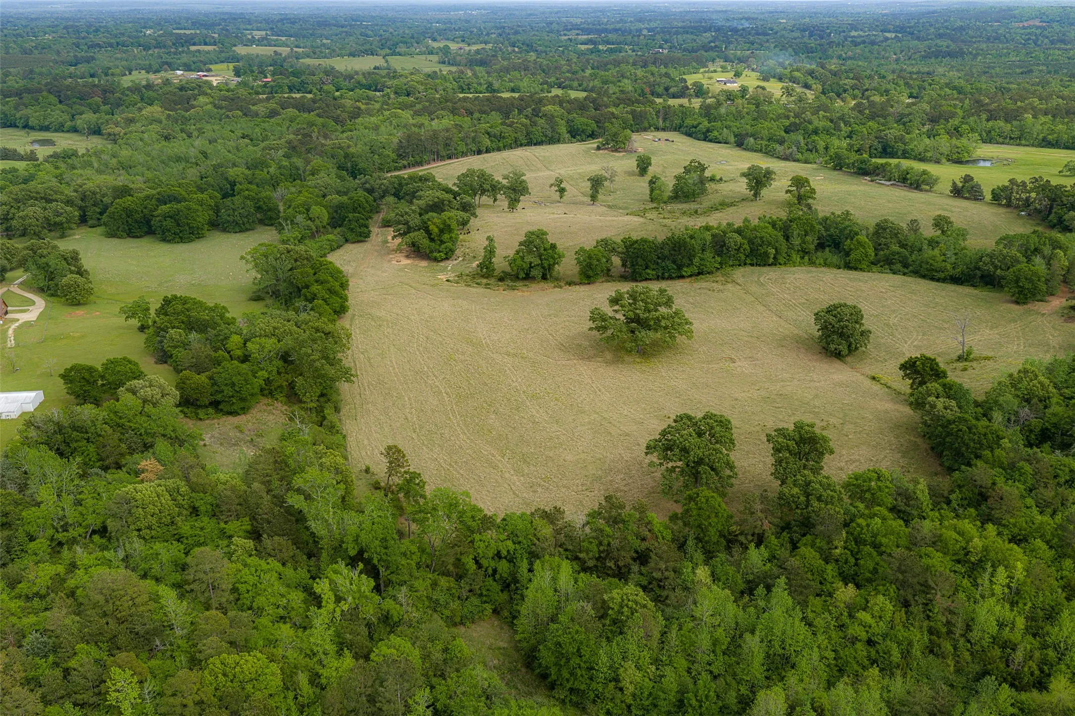 Improved Land For Sale in Cherokee County , 0 CR 1615, Jacksonville, Texas 75766, 0, 0, Garage spaces, 0 Sqft, built in 0, Price $649,900, mls#21236518, Real Estate Agent in Jacksonville, Homes For Sale in Cherokee county, Homes For Sale in Jacksonville, Realtor in Jacksonville Texas, Real Estate Brokerage Independent Realty Texas, Luminita Cordes Realtor