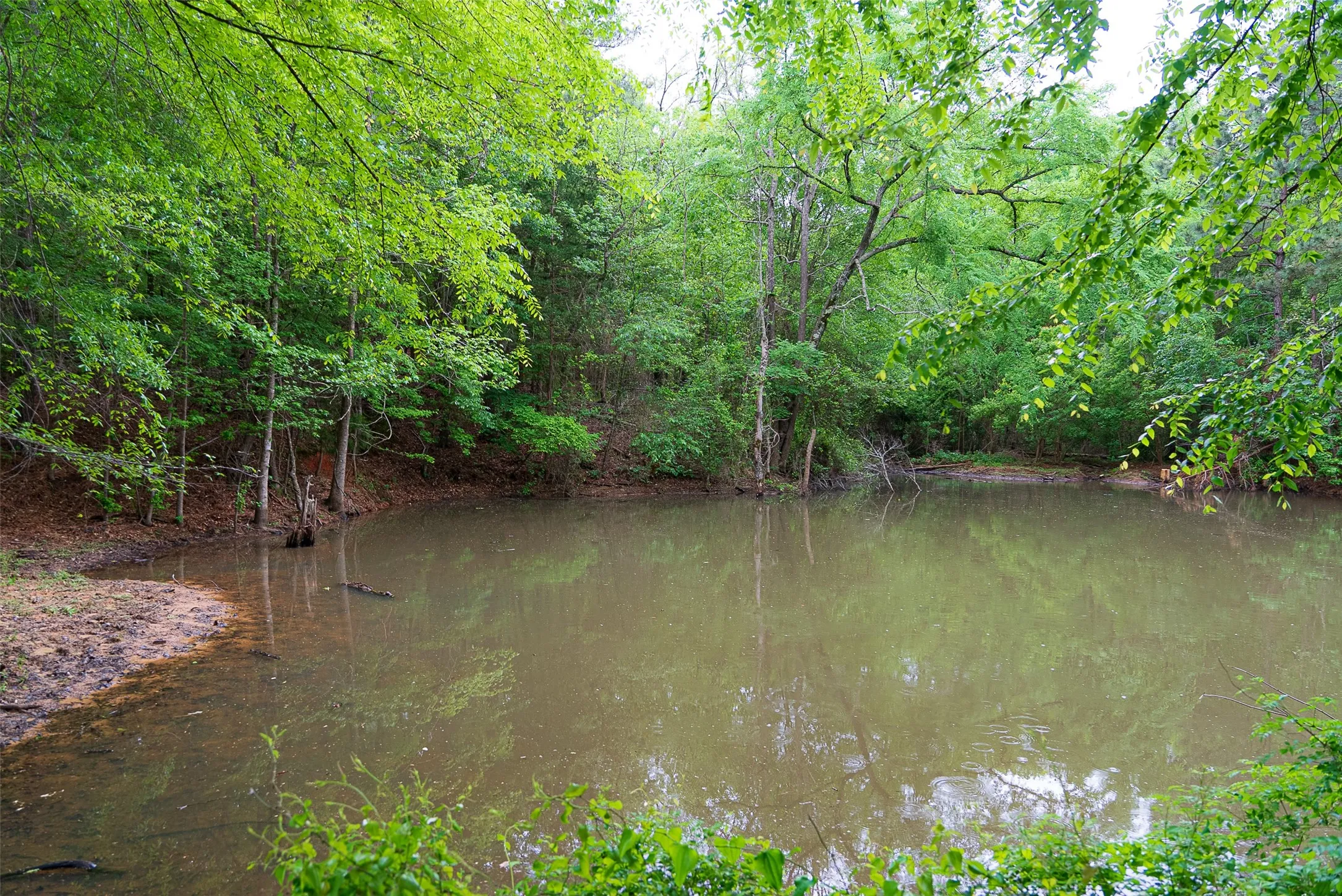 Improved Land For Sale in Cherokee County , 0 CR 1615, Jacksonville, Texas 75766, 0, 0, Garage spaces, 0 Sqft, built in 0, Price $649,900, mls#21236518, Real Estate Agent in Jacksonville, Homes For Sale in Cherokee county, Homes For Sale in Jacksonville, Realtor in Jacksonville Texas, Real Estate Brokerage Independent Realty Texas, Luminita Cordes Realtor