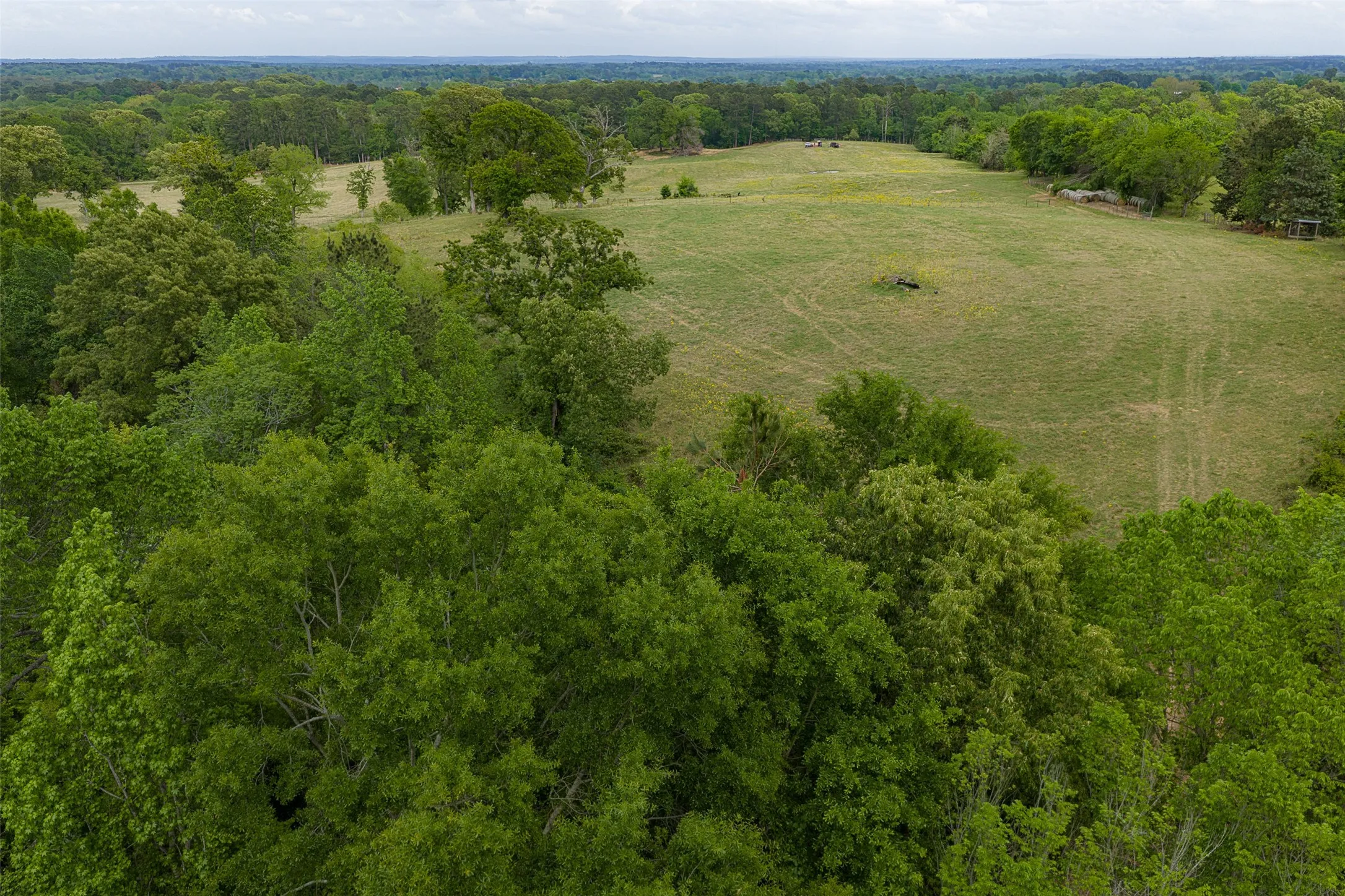 Improved Land For Sale in Cherokee County , 0 CR 1615, Jacksonville, Texas 75766, 0, 0, Garage spaces, 0 Sqft, built in 0, Price $649,900, mls#21236518, Real Estate Agent in Jacksonville, Homes For Sale in Cherokee county, Homes For Sale in Jacksonville, Realtor in Jacksonville Texas, Real Estate Brokerage Independent Realty Texas, Luminita Cordes Realtor