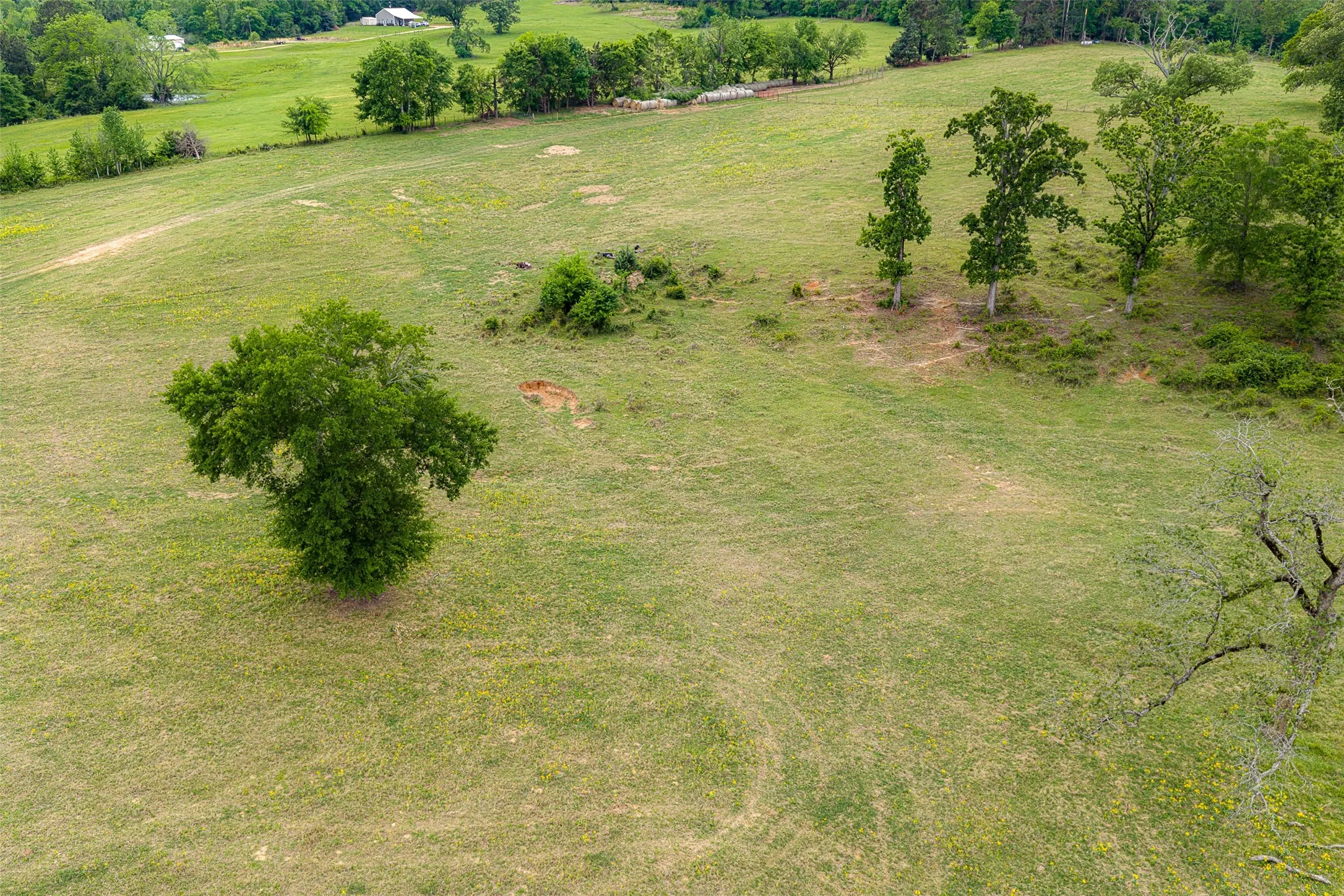 Improved Land For Sale in Cherokee County , 0 CR 1615, Jacksonville, Texas 75766, 0, 0, Garage spaces, 0 Sqft, built in 0, Price $649,900, mls#21236518, Real Estate Agent in Jacksonville, Homes For Sale in Cherokee county, Homes For Sale in Jacksonville, Realtor in Jacksonville Texas, Real Estate Brokerage Independent Realty Texas, Luminita Cordes Realtor