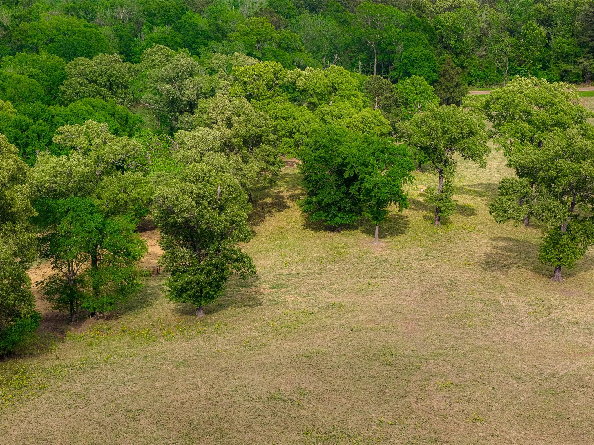 Improved Land For Sale in Cherokee County , 0 CR 1615, Jacksonville, Texas 75766, 0, 0, Garage spaces, 0 Sqft, built in 0, Price $649,900, mls#21236518, Real Estate Agent in Jacksonville, Homes For Sale in Cherokee county, Homes For Sale in Jacksonville, Realtor in Jacksonville Texas, Real Estate Brokerage Independent Realty Texas, Luminita Cordes Realtor