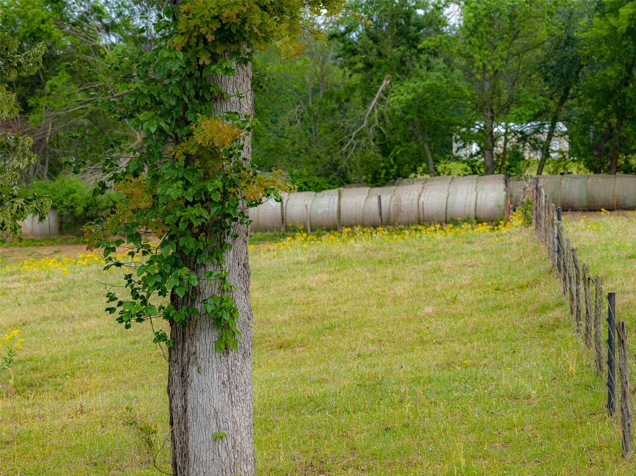 Improved Land For Sale in Cherokee County , 0 CR 1615, Jacksonville, Texas 75766, 0, 0, Garage spaces, 0 Sqft, built in 0, Price $649,900, mls#21236518, Real Estate Agent in Jacksonville, Homes For Sale in Cherokee county, Homes For Sale in Jacksonville, Realtor in Jacksonville Texas, Real Estate Brokerage Independent Realty Texas, Luminita Cordes Realtor