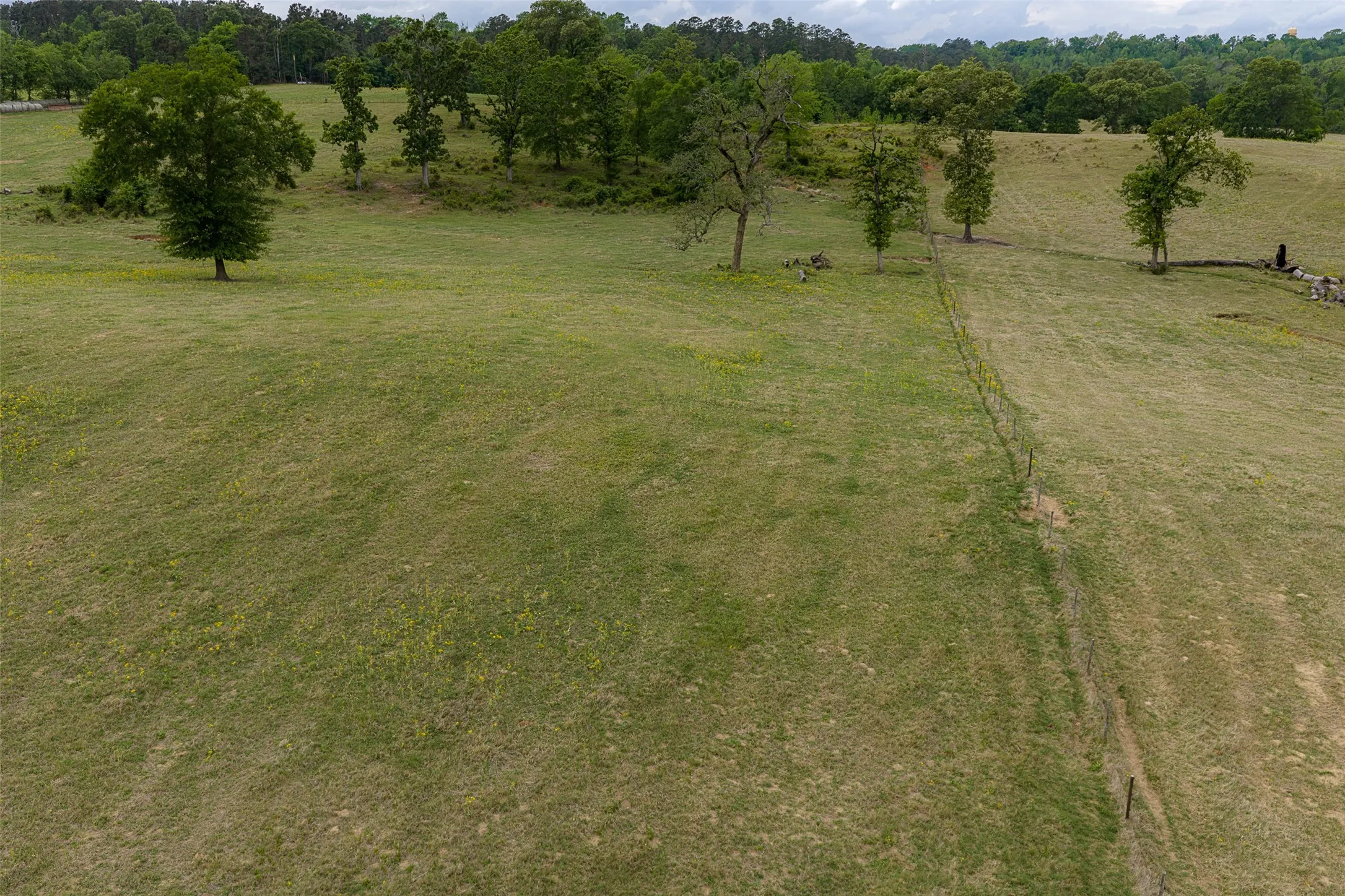 Improved Land For Sale in Cherokee County , 0 CR 1615, Jacksonville, Texas 75766, 0, 0, Garage spaces, 0 Sqft, built in 0, Price $649,900, mls#21236518, Real Estate Agent in Jacksonville, Homes For Sale in Cherokee county, Homes For Sale in Jacksonville, Realtor in Jacksonville Texas, Real Estate Brokerage Independent Realty Texas, Luminita Cordes Realtor