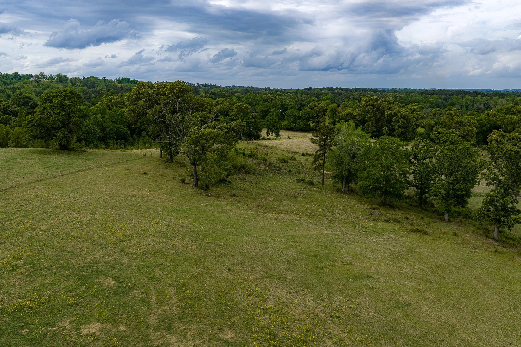 Improved Land For Sale in Cherokee County , 0 CR 1615, Jacksonville, Texas 75766, 0, 0, Garage spaces, 0 Sqft, built in 0, Price $649,900, mls#21236518, Real Estate Agent in Jacksonville, Homes For Sale in Cherokee county, Homes For Sale in Jacksonville, Realtor in Jacksonville Texas, Real Estate Brokerage Independent Realty Texas, Luminita Cordes Realtor