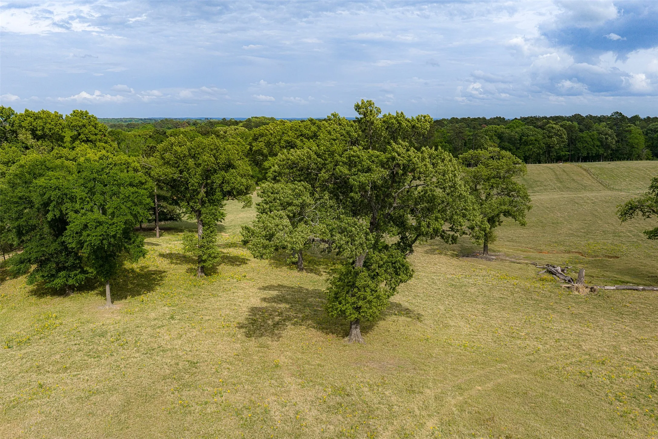 Improved Land For Sale in Cherokee County , 0 CR 1615, Jacksonville, Texas 75766, 0, 0, Garage spaces, 0 Sqft, built in 0, Price $649,900, mls#21236518, Real Estate Agent in Jacksonville, Homes For Sale in Cherokee county, Homes For Sale in Jacksonville, Realtor in Jacksonville Texas, Real Estate Brokerage Independent Realty Texas, Luminita Cordes Realtor