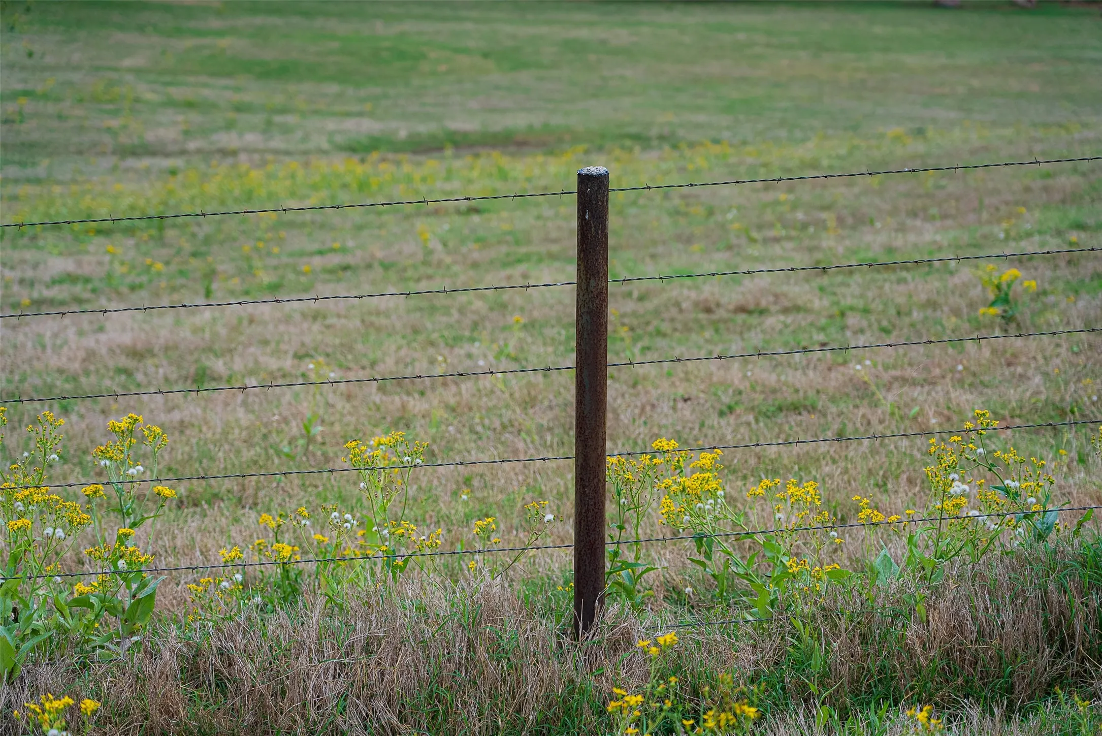 Improved Land For Sale in Cherokee County , 0 CR 1615, Jacksonville, Texas 75766, 0, 0, Garage spaces, 0 Sqft, built in 0, Price $649,900, mls#21236518, Real Estate Agent in Jacksonville, Homes For Sale in Cherokee county, Homes For Sale in Jacksonville, Realtor in Jacksonville Texas, Real Estate Brokerage Independent Realty Texas, Luminita Cordes Realtor